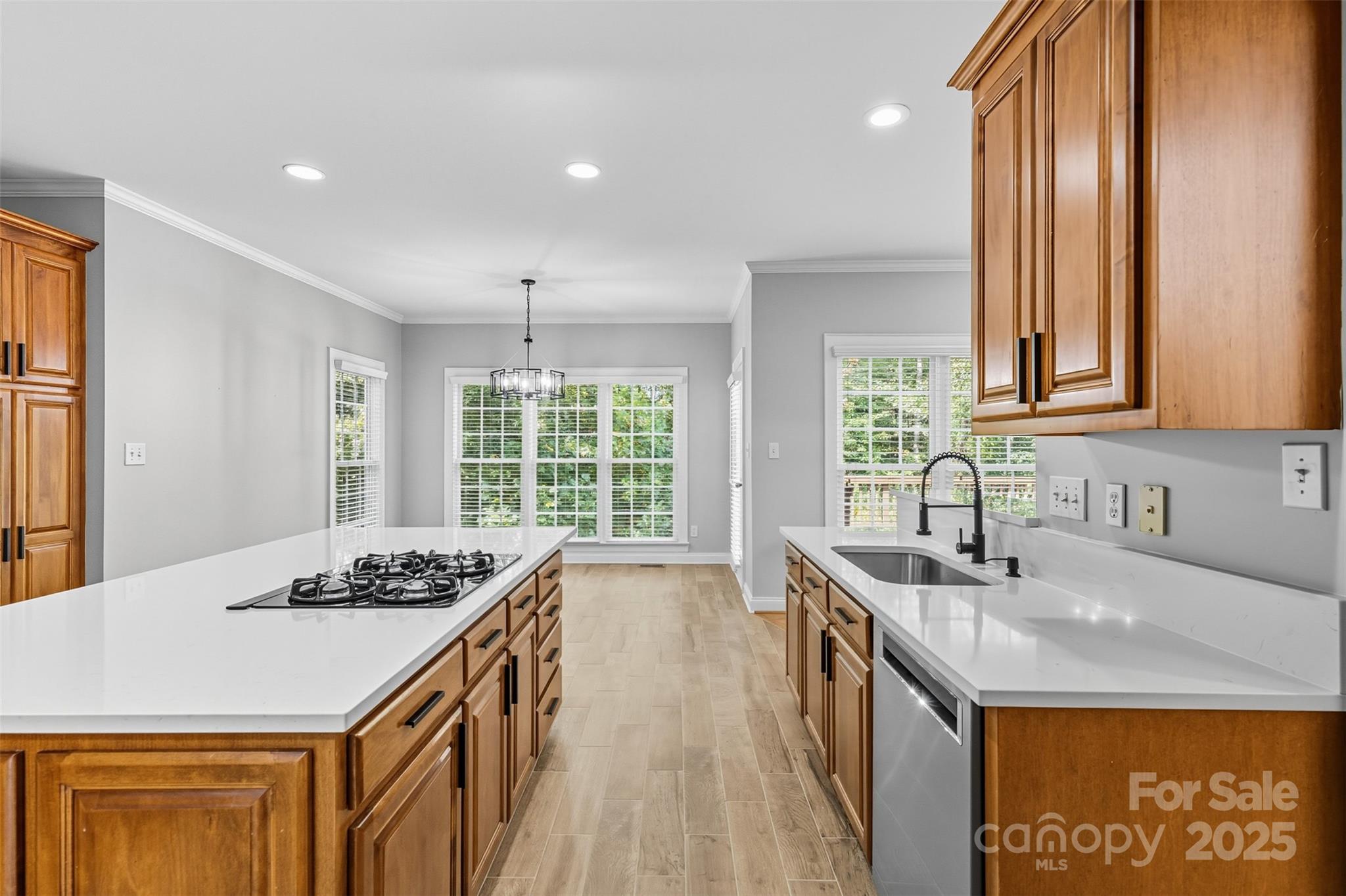 11139 Tradition View Drive — Charlotte