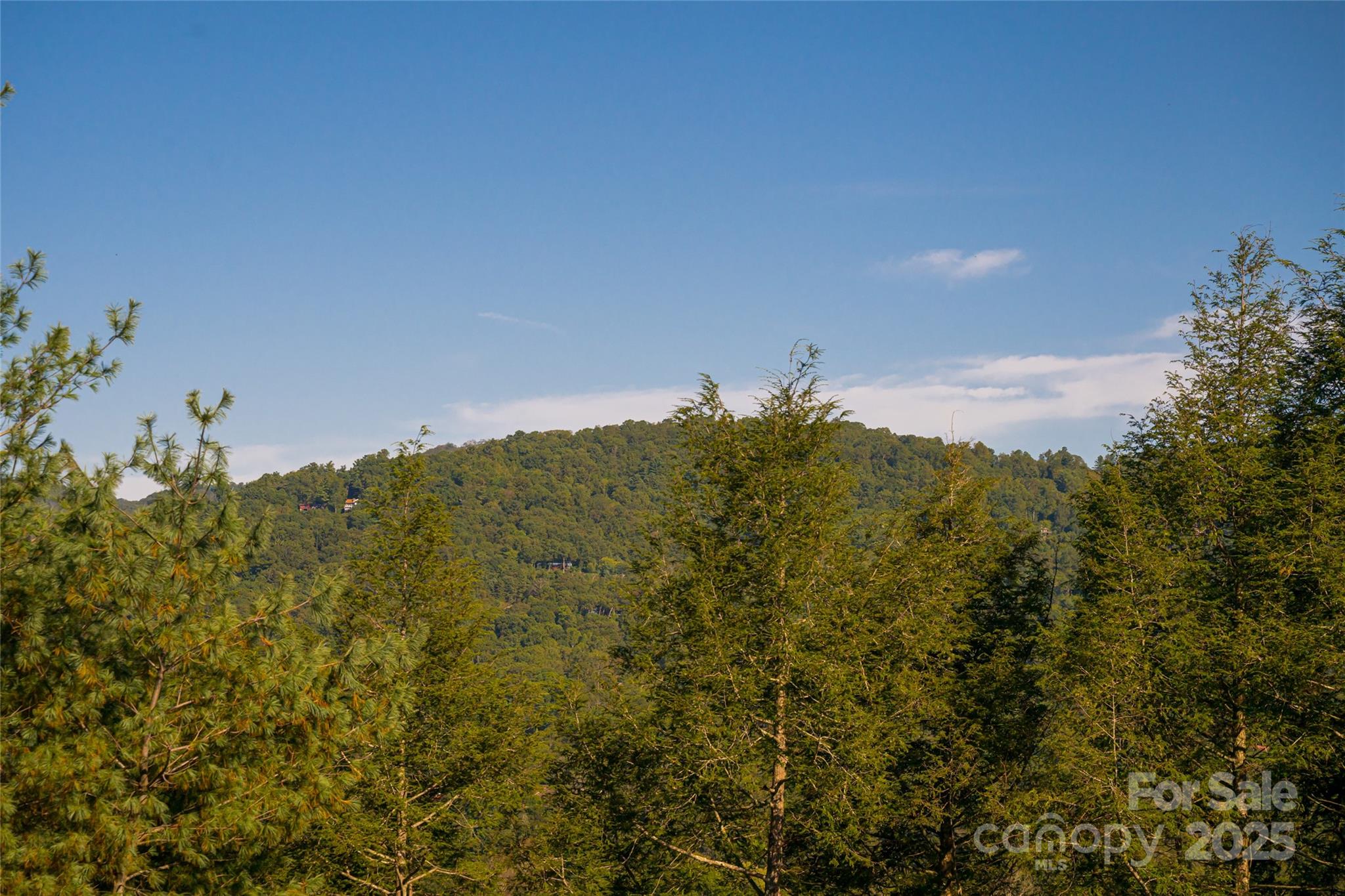 79 Horizon Hill Road — Asheville