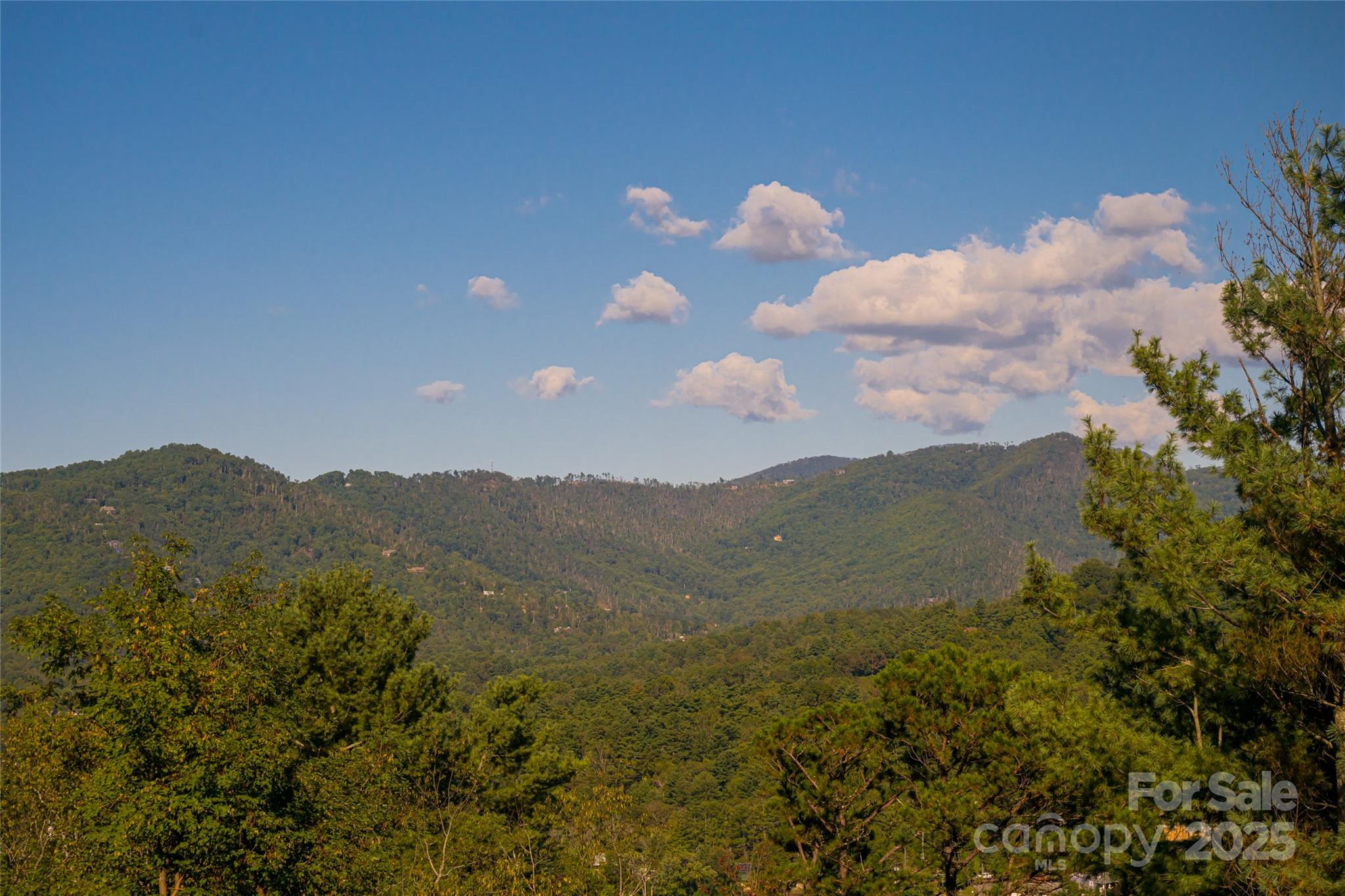 79 Horizon Hill Road — Asheville