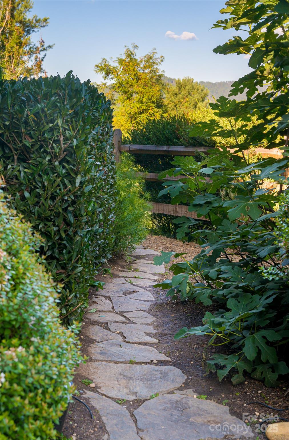 79 Horizon Hill Road — Asheville