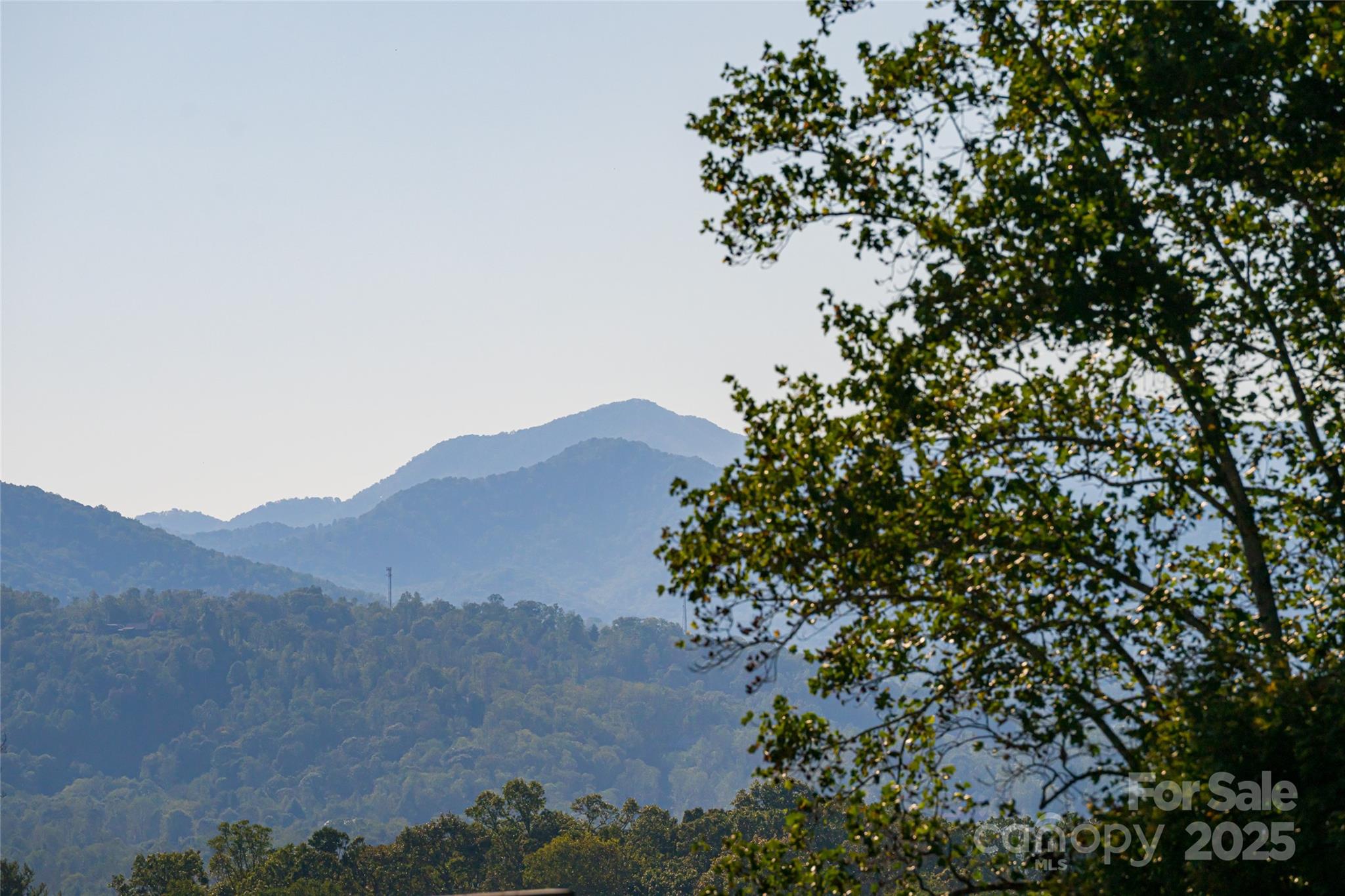 79 Horizon Hill Road — Asheville
