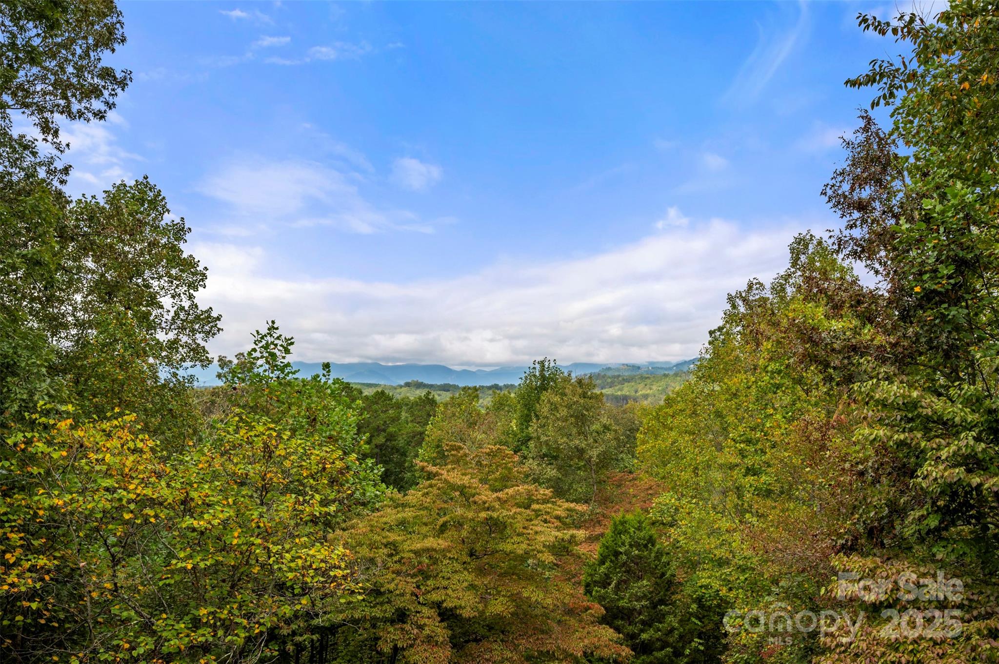 167 Balfour Drive — Rutherfordton