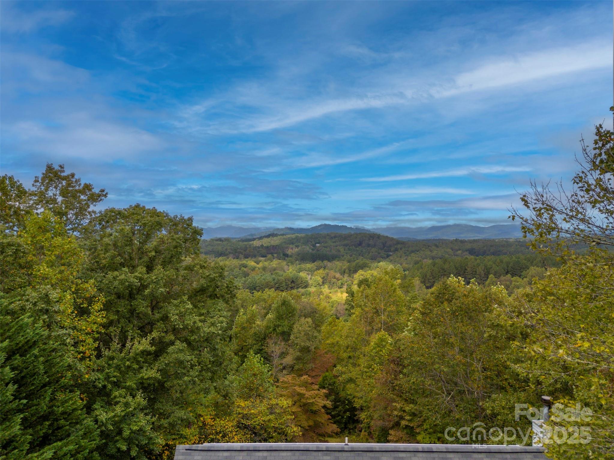 167 Balfour Drive — Rutherfordton