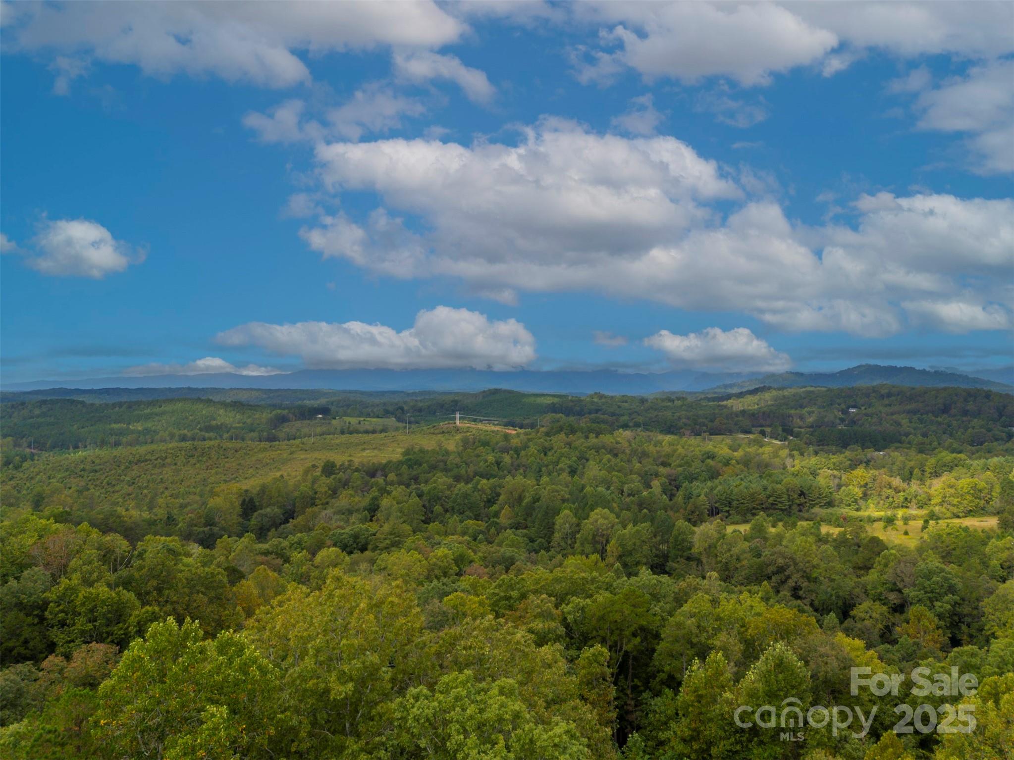 167 Balfour Drive — Rutherfordton