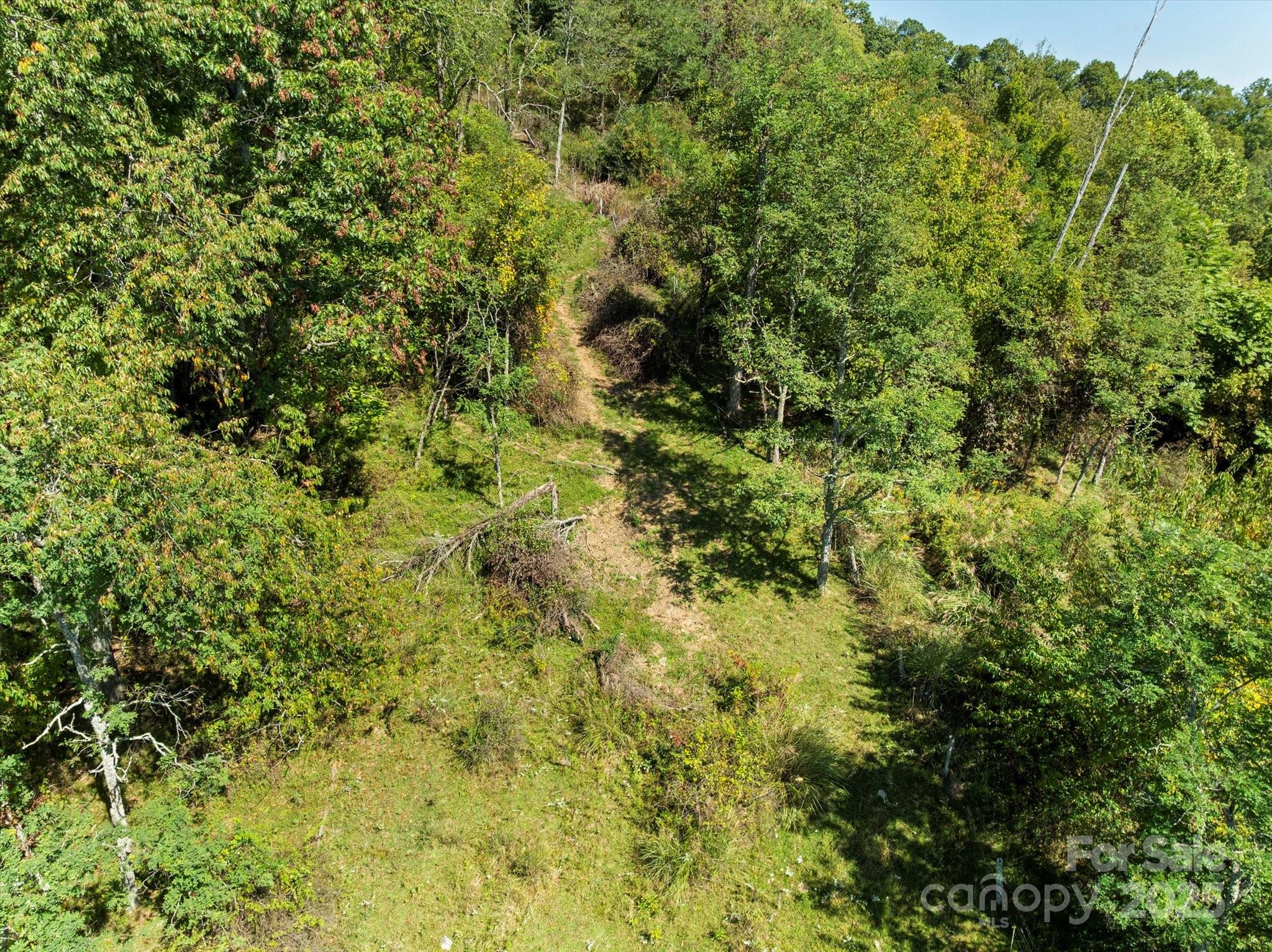 1623 Ammons Branch Road — Marshall