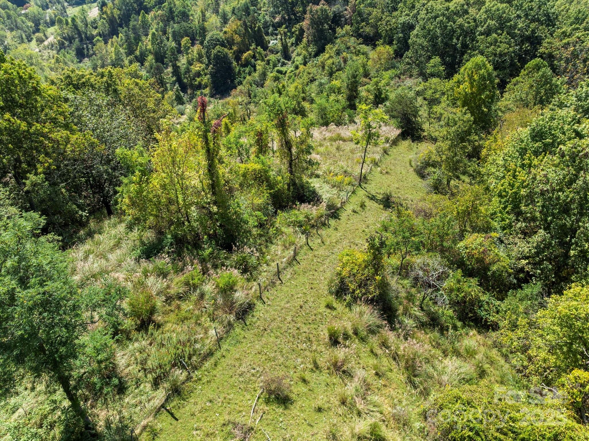 1623 Ammons Branch Road — Marshall