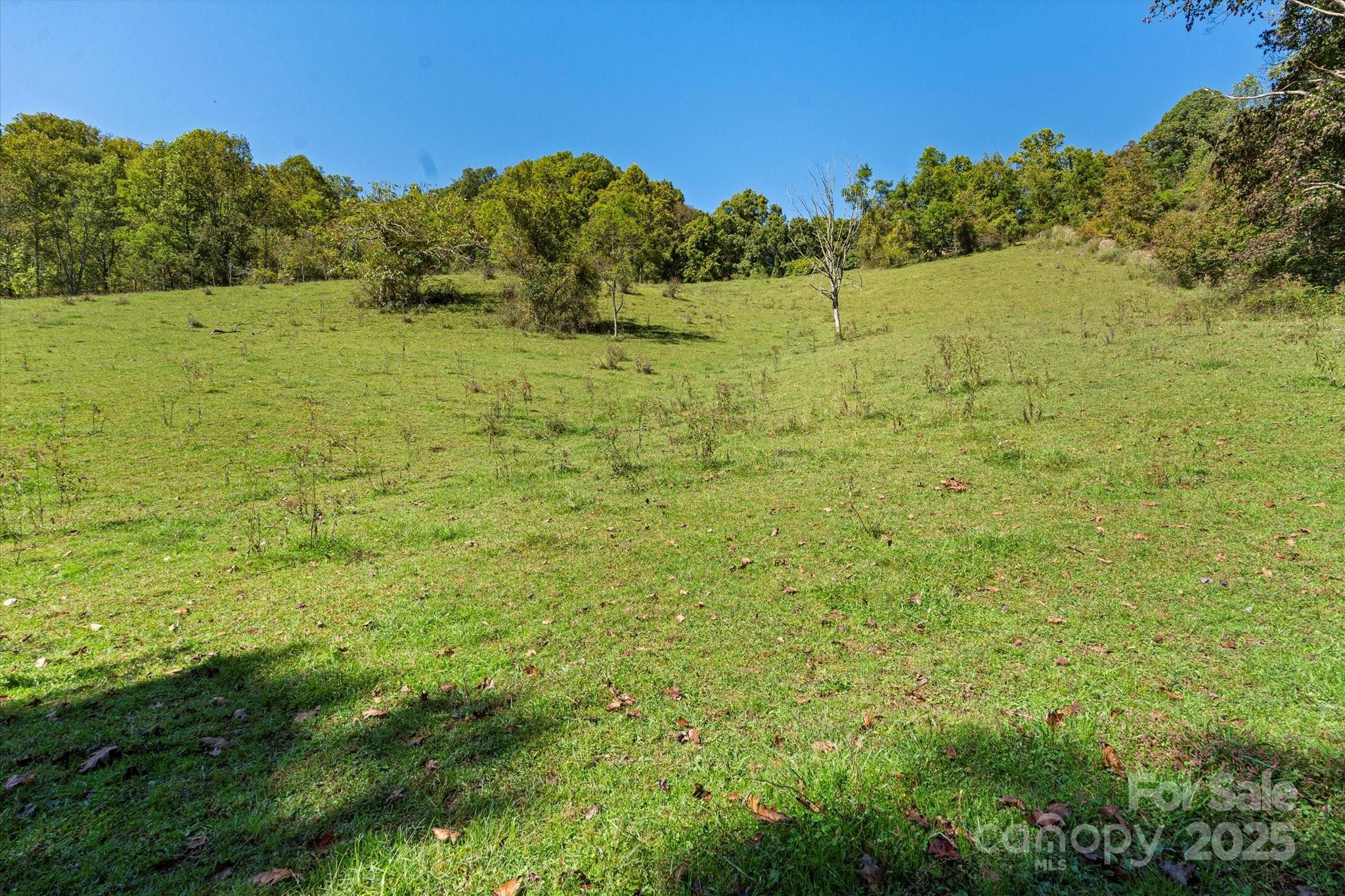 1623 Ammons Branch Road — Marshall
