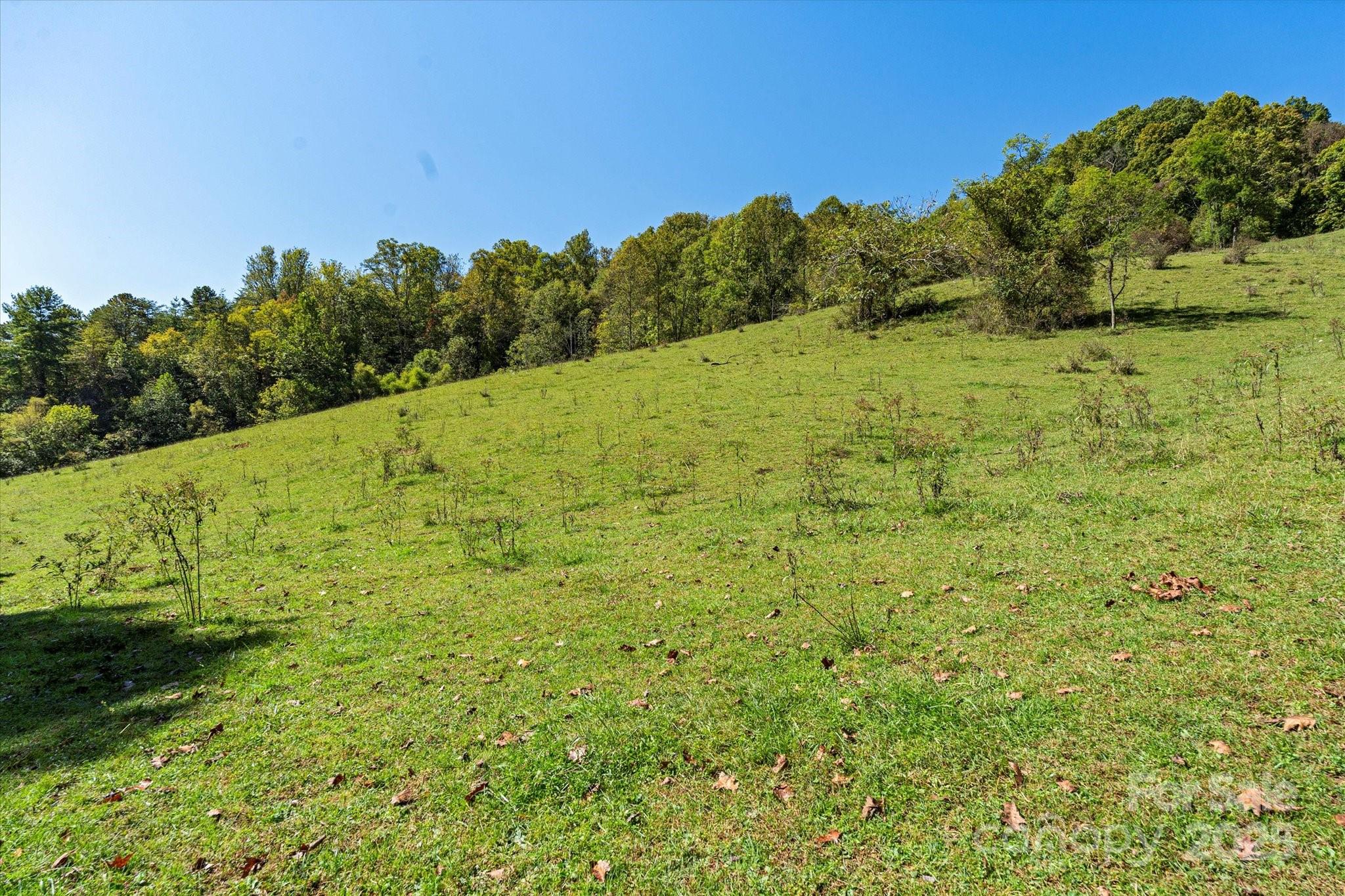 1623 Ammons Branch Road — Marshall