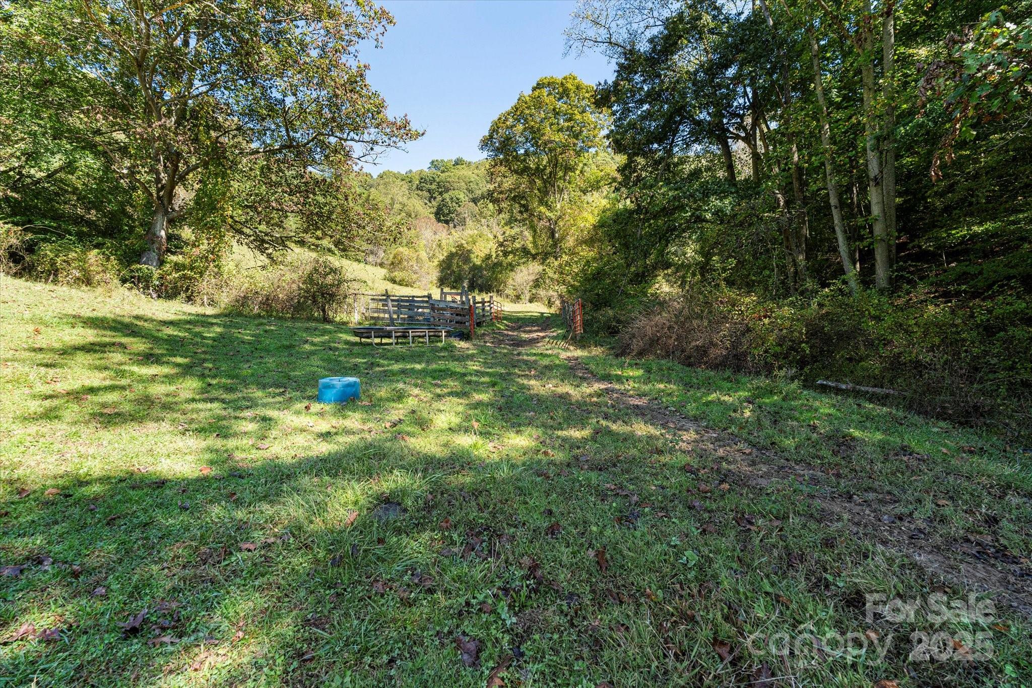 1623 Ammons Branch Road — Marshall