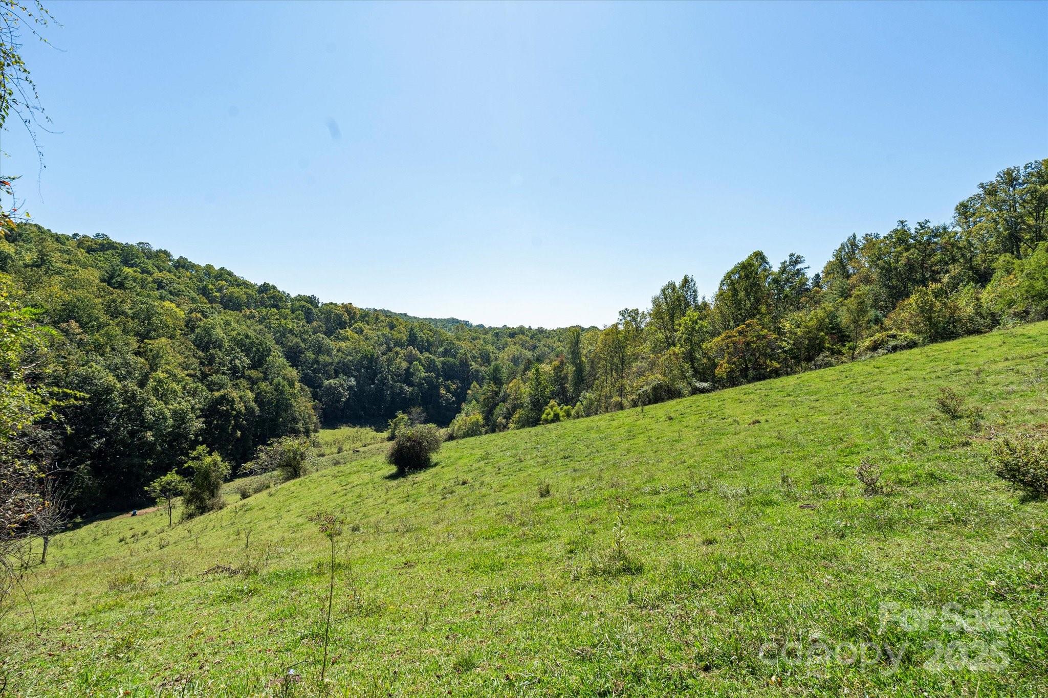 1623 Ammons Branch Road — Marshall