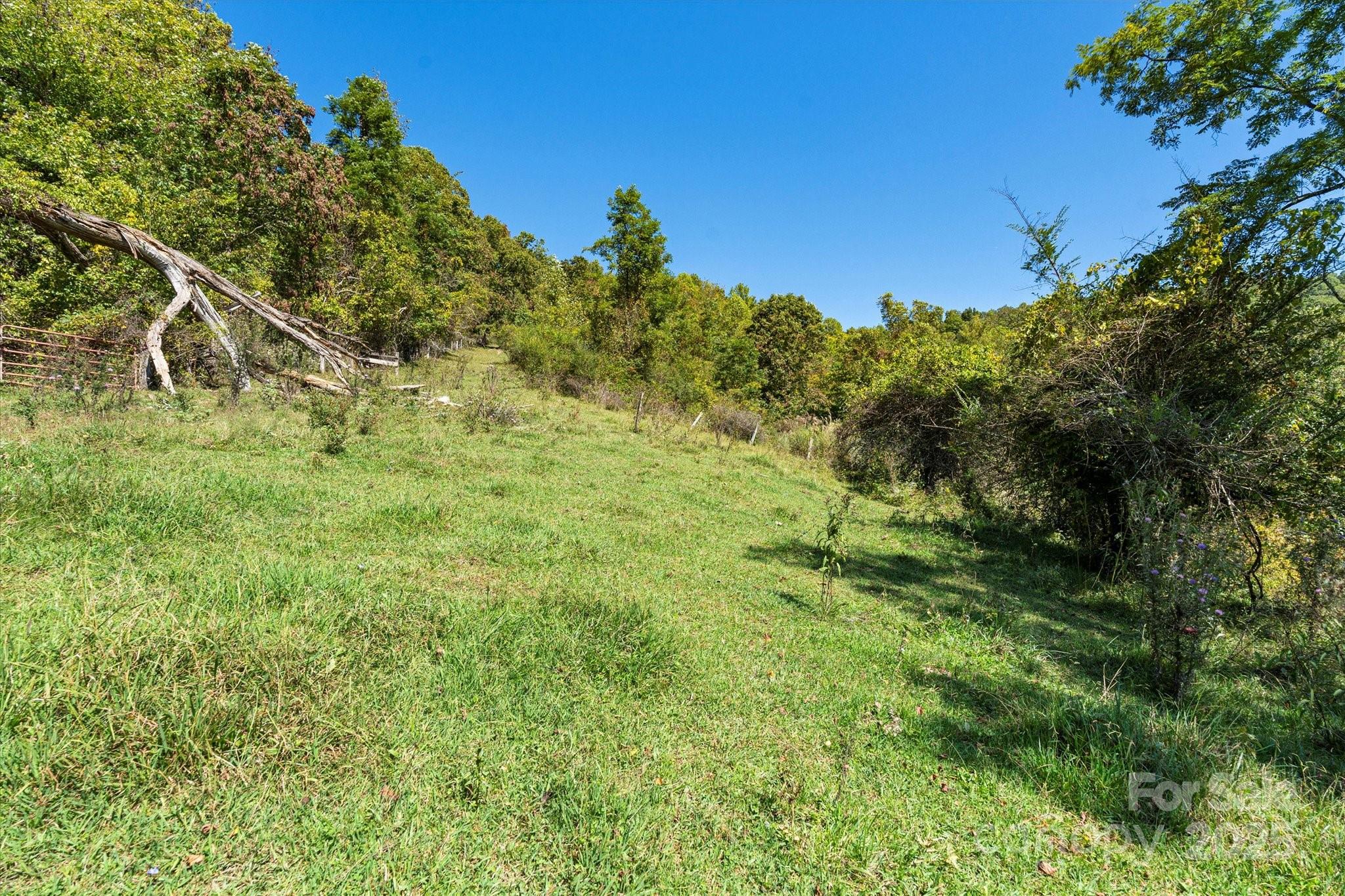 1623 Ammons Branch Road — Marshall