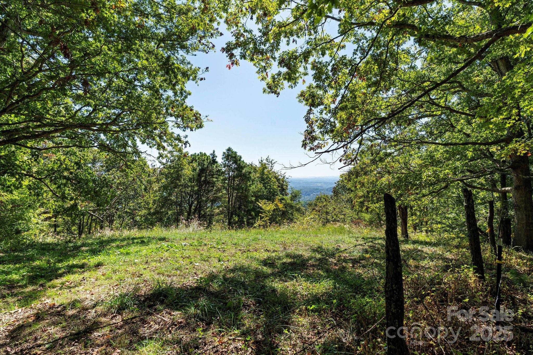 1623 Ammons Branch Road — Marshall