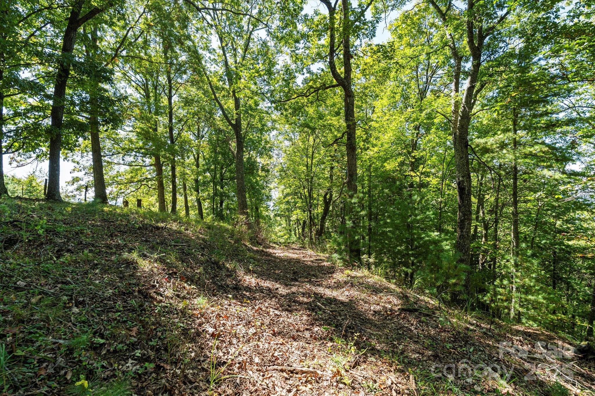 1623 Ammons Branch Road — Marshall