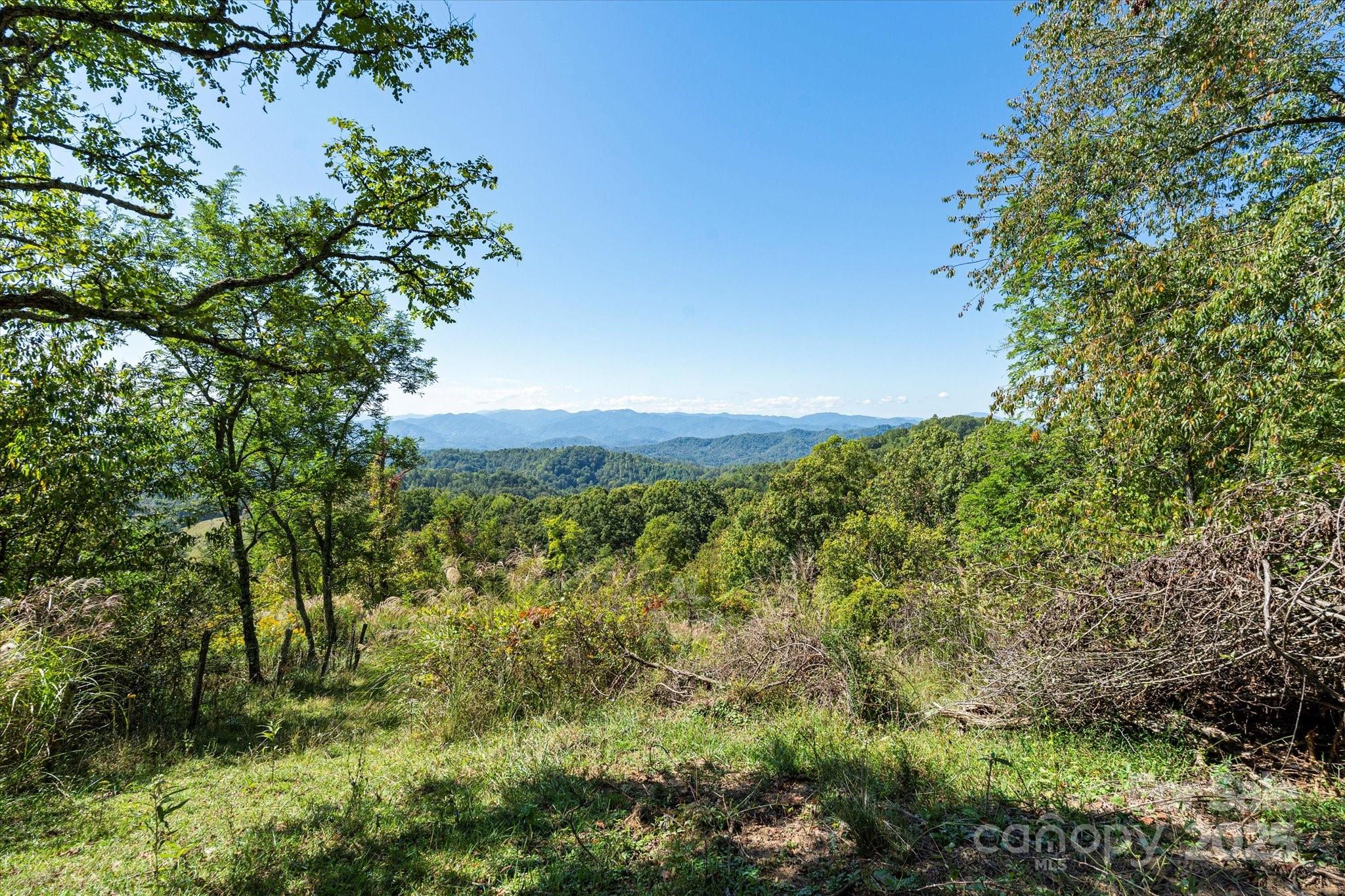 1623 Ammons Branch Road — Marshall