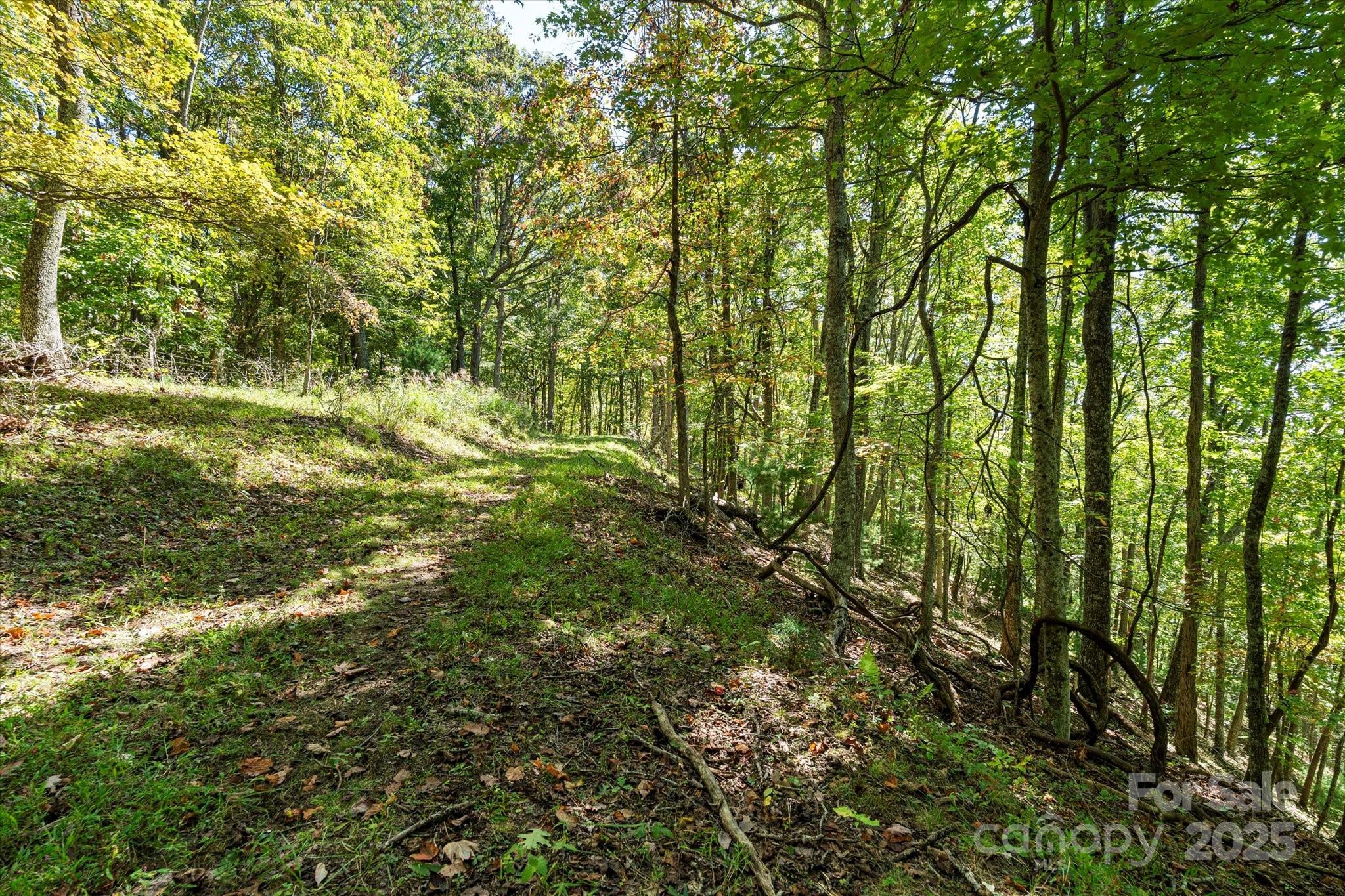 1623 Ammons Branch Road — Marshall