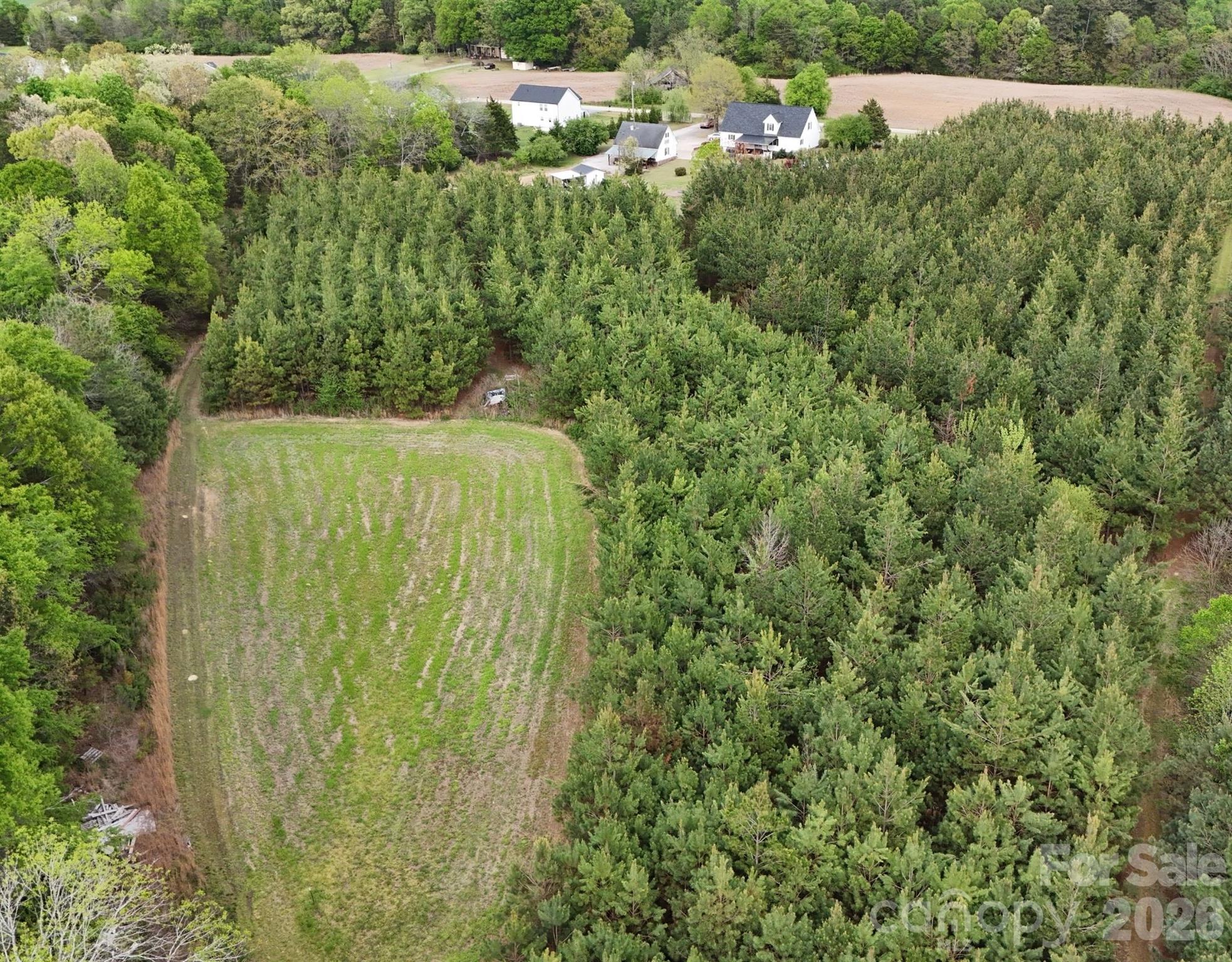176 Griffin Road — Pageland