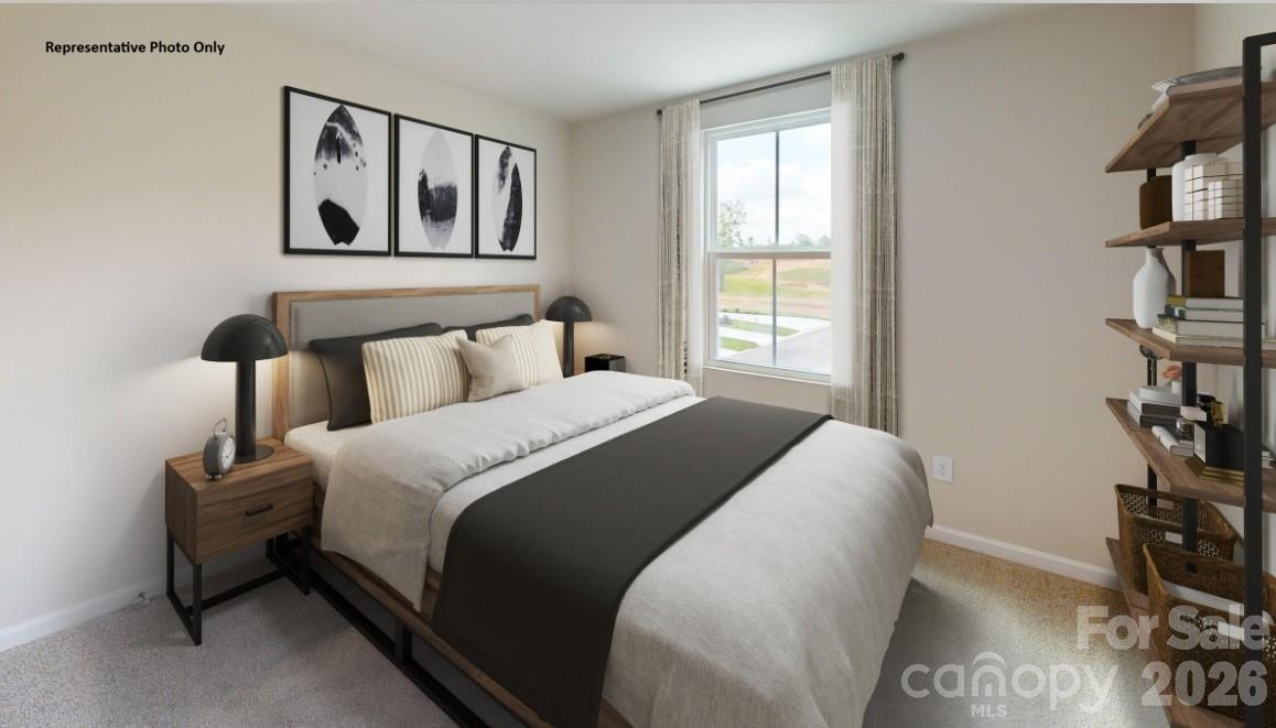 305 Laney Farms Drive — Pageland