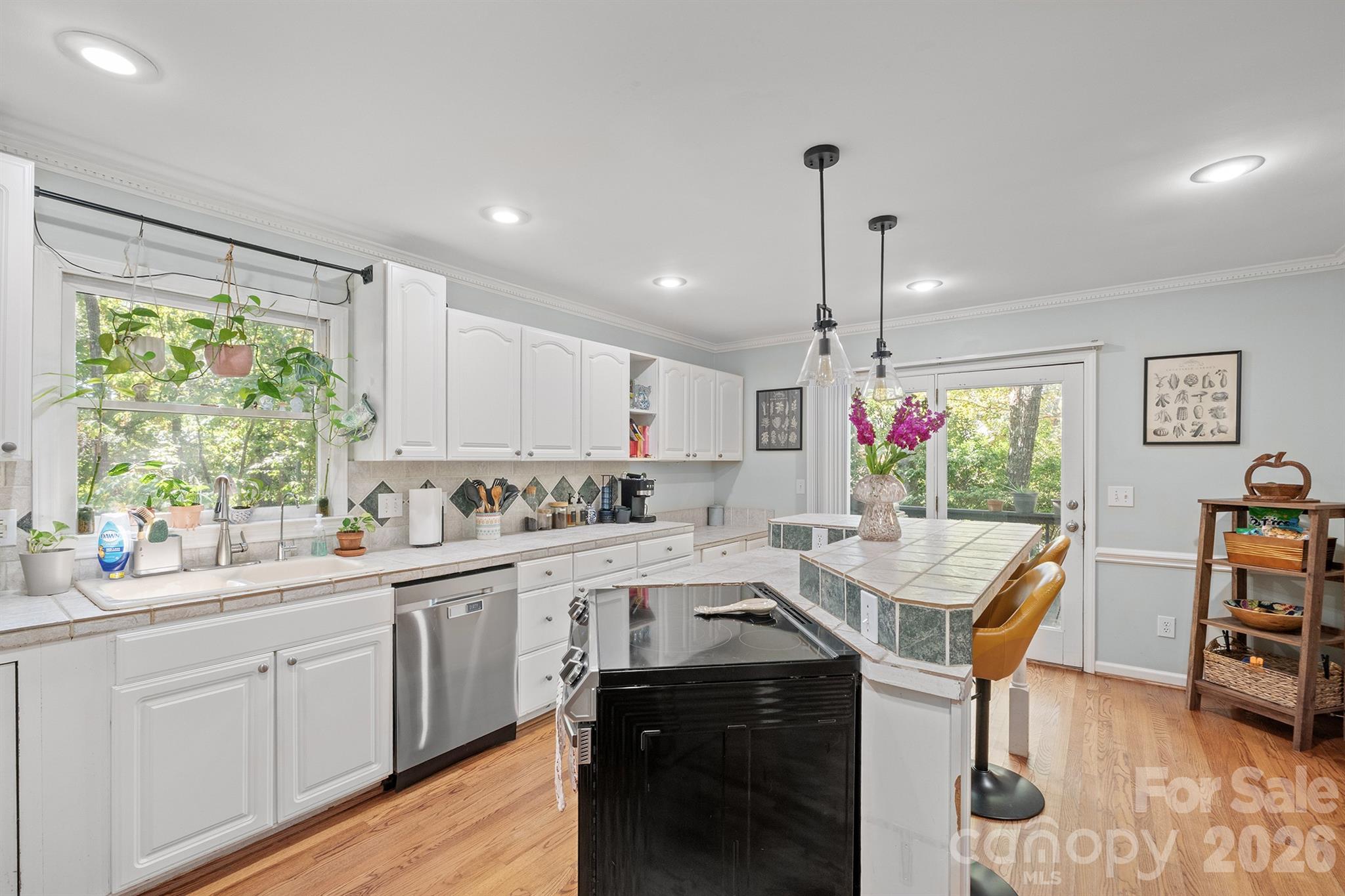 16003 Molokai Drive — Tega Cay