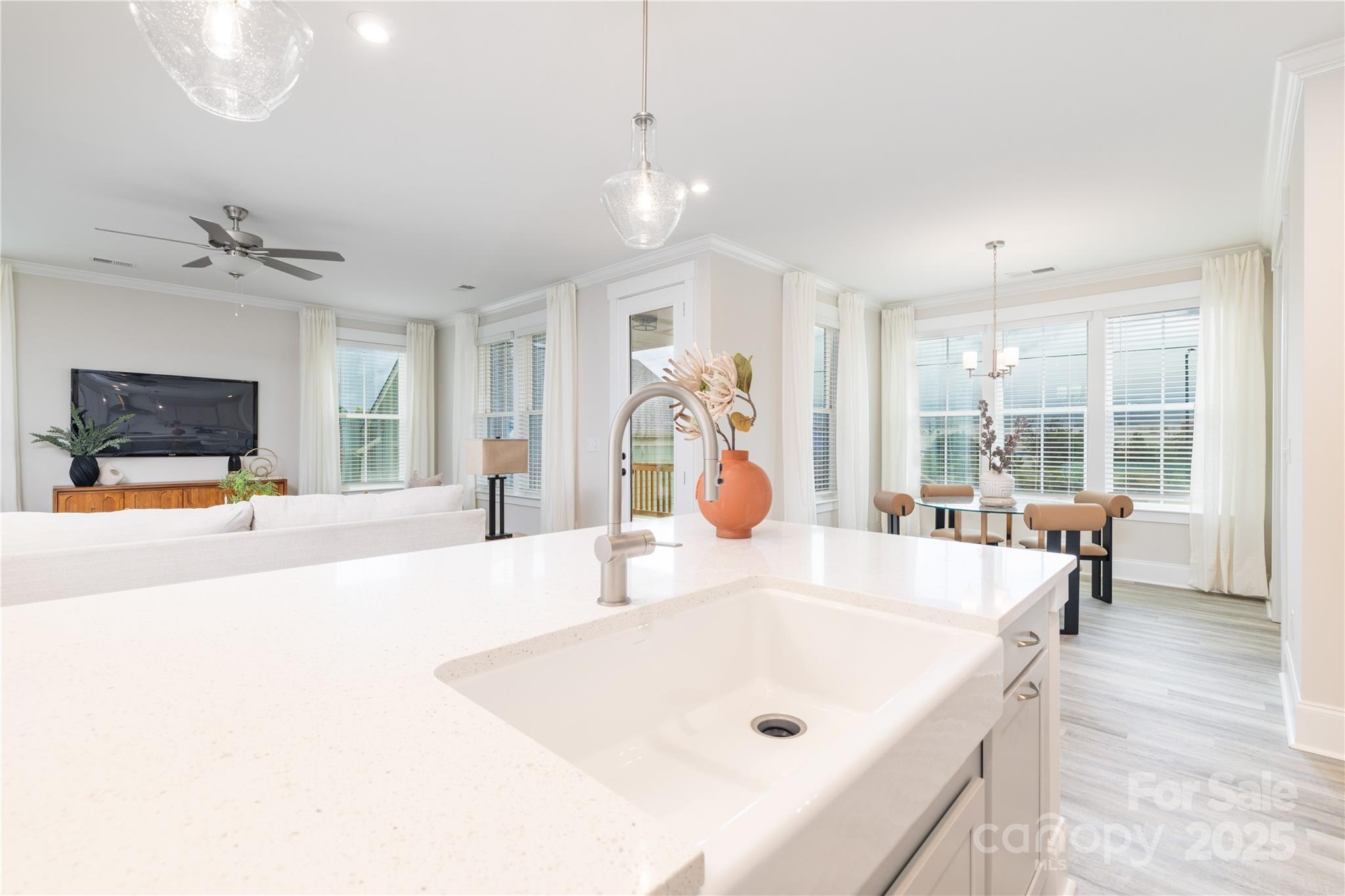 287 Luray Way #450 — Rock Hill