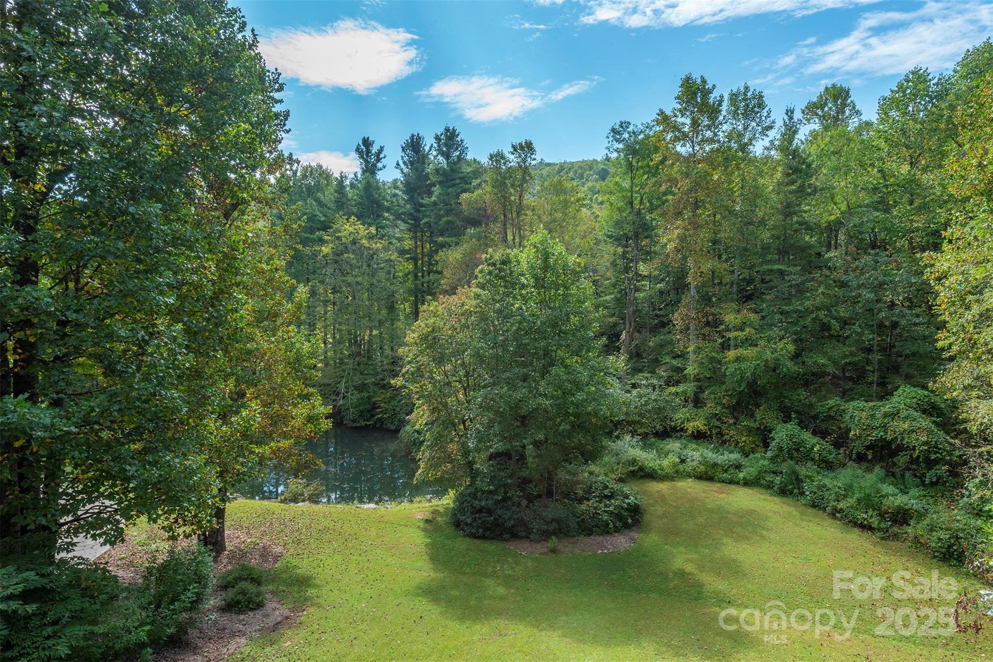 85 Prospectors Trail — Black Mountain