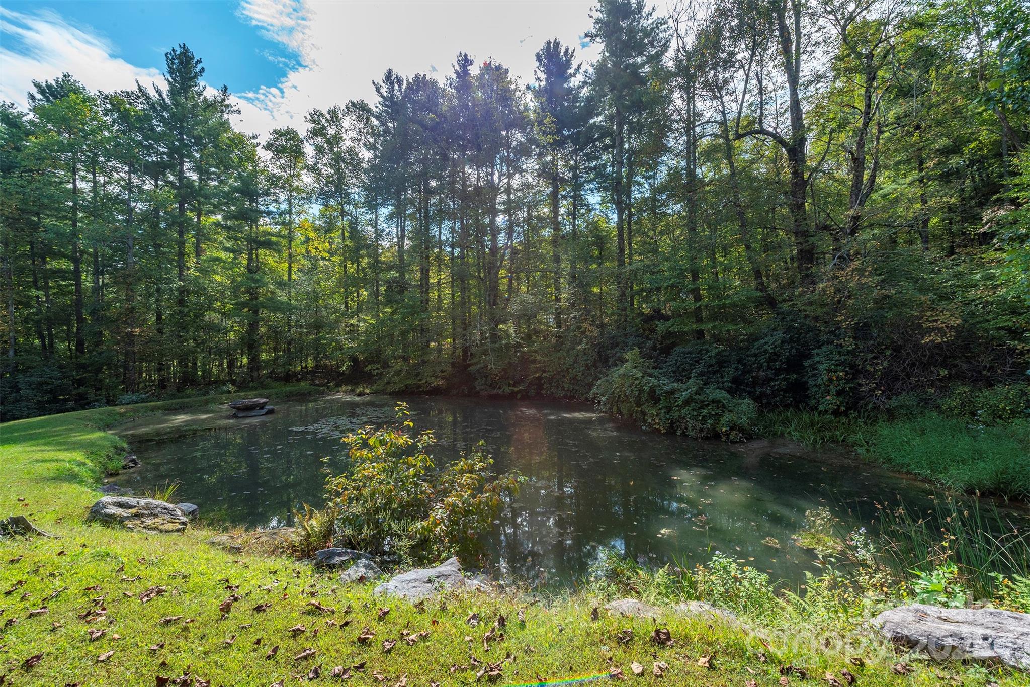 85 Prospectors Trail — Black Mountain