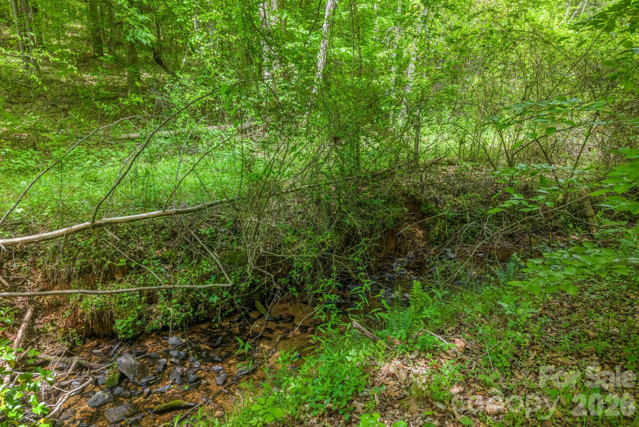 288 Maypole Court — Forest City