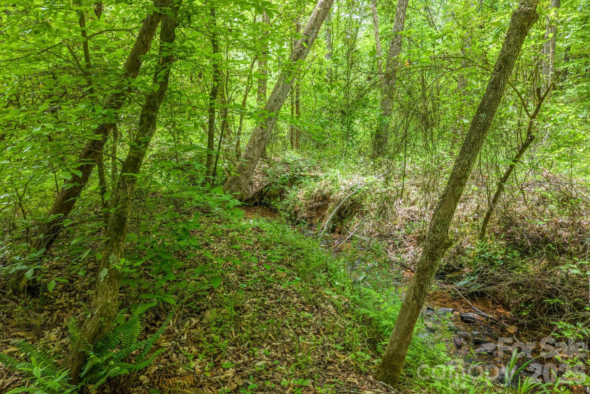 288 Maypole Court — Forest City