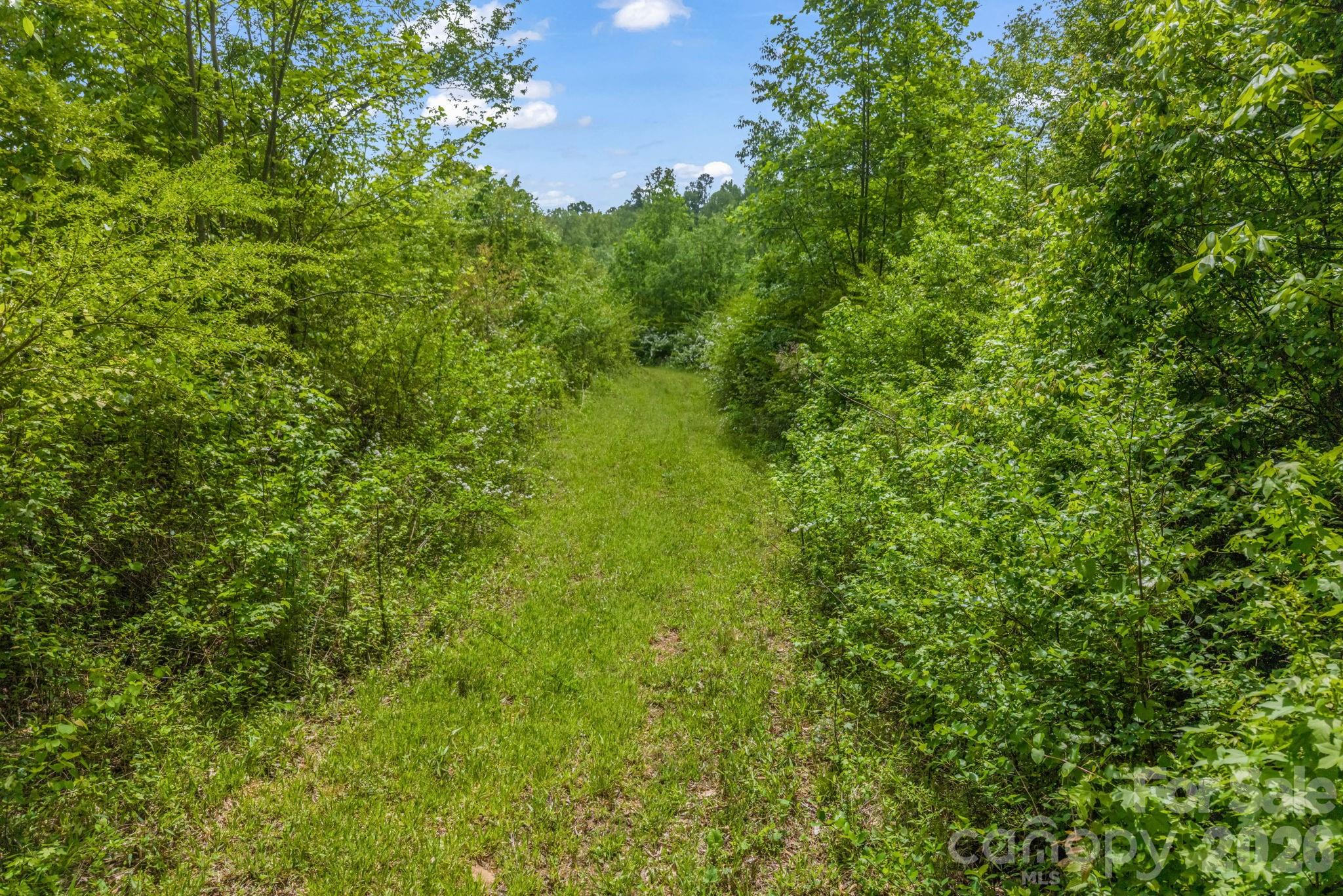 288 Maypole Court — Forest City