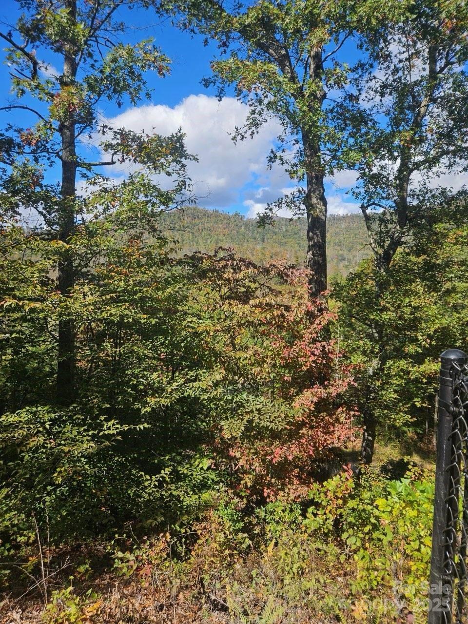493 Spring Hill Road — Bakersville