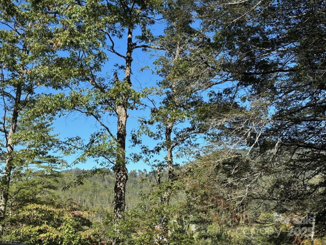 493 Spring Hill Road — Bakersville