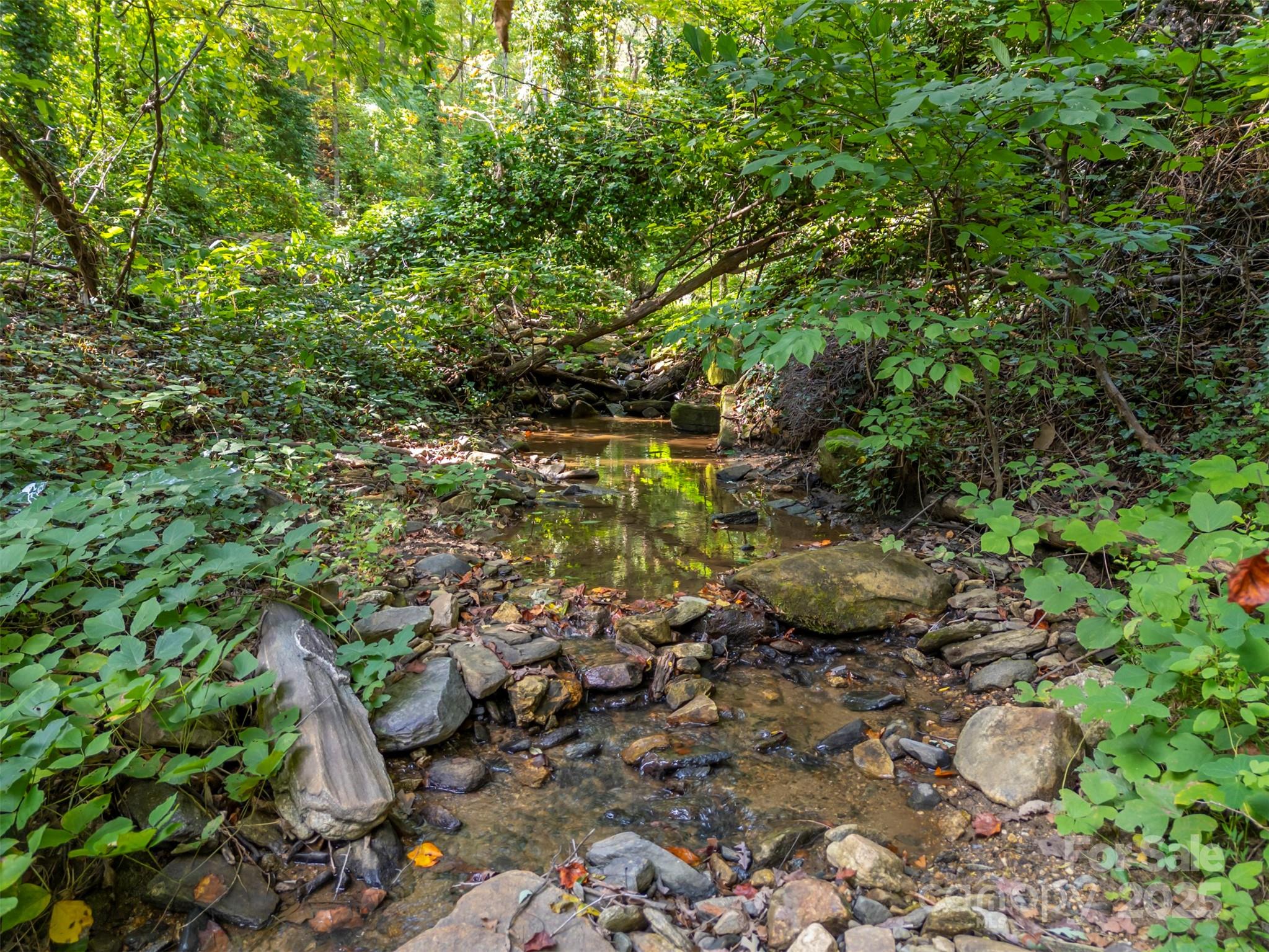 160 Lasae Lane — Tryon