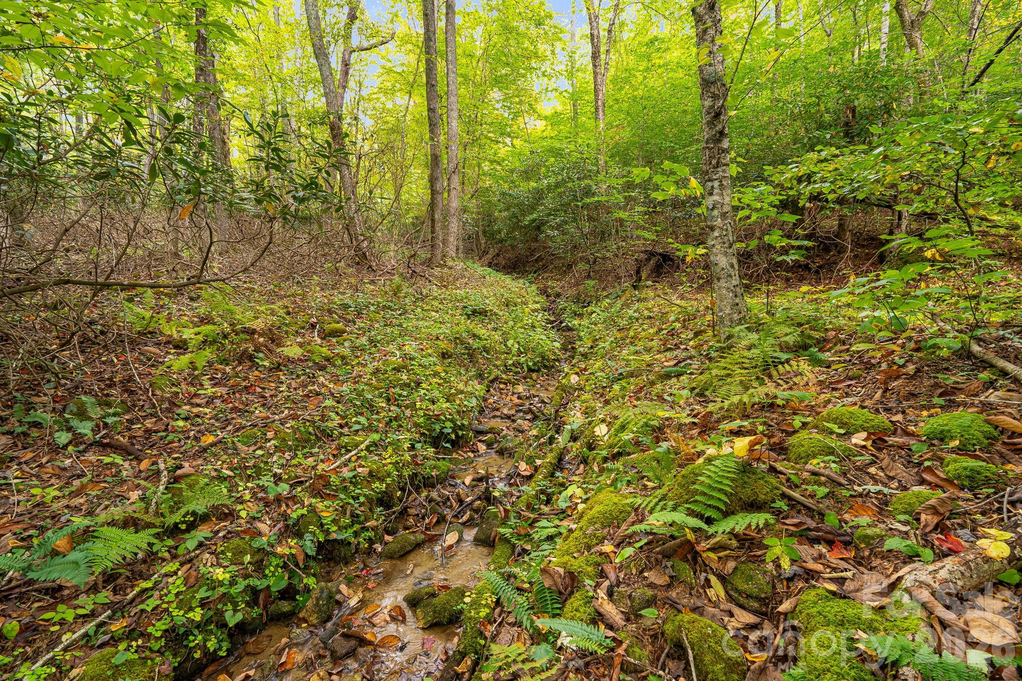 191 Ivy Way — Mars Hill