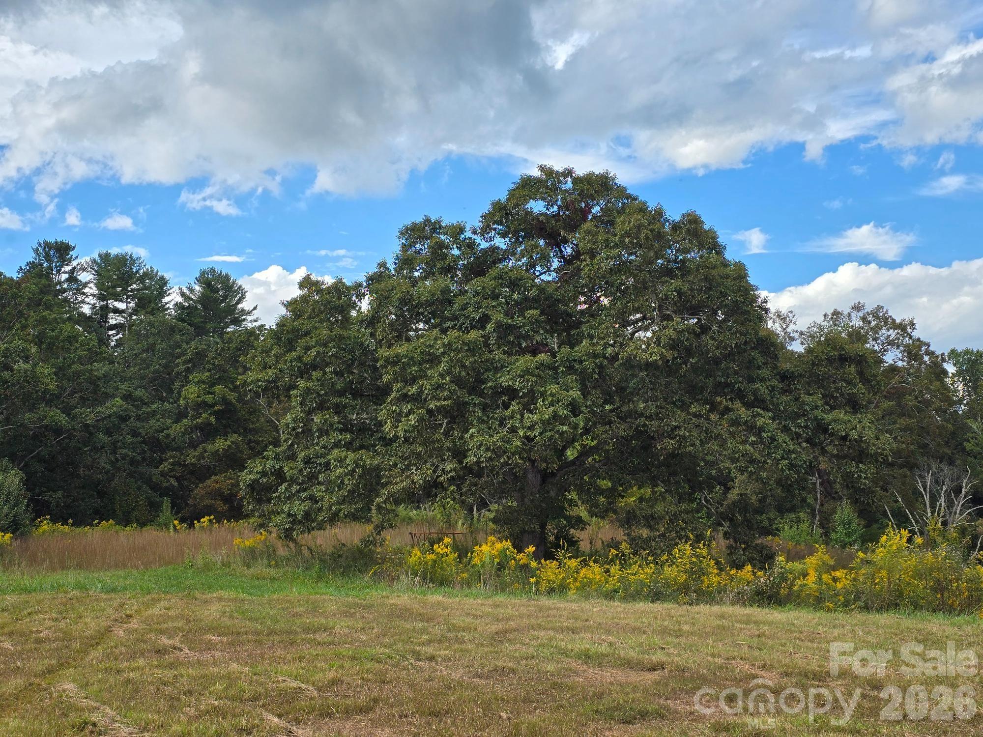 128 Cook Lane — Mills River