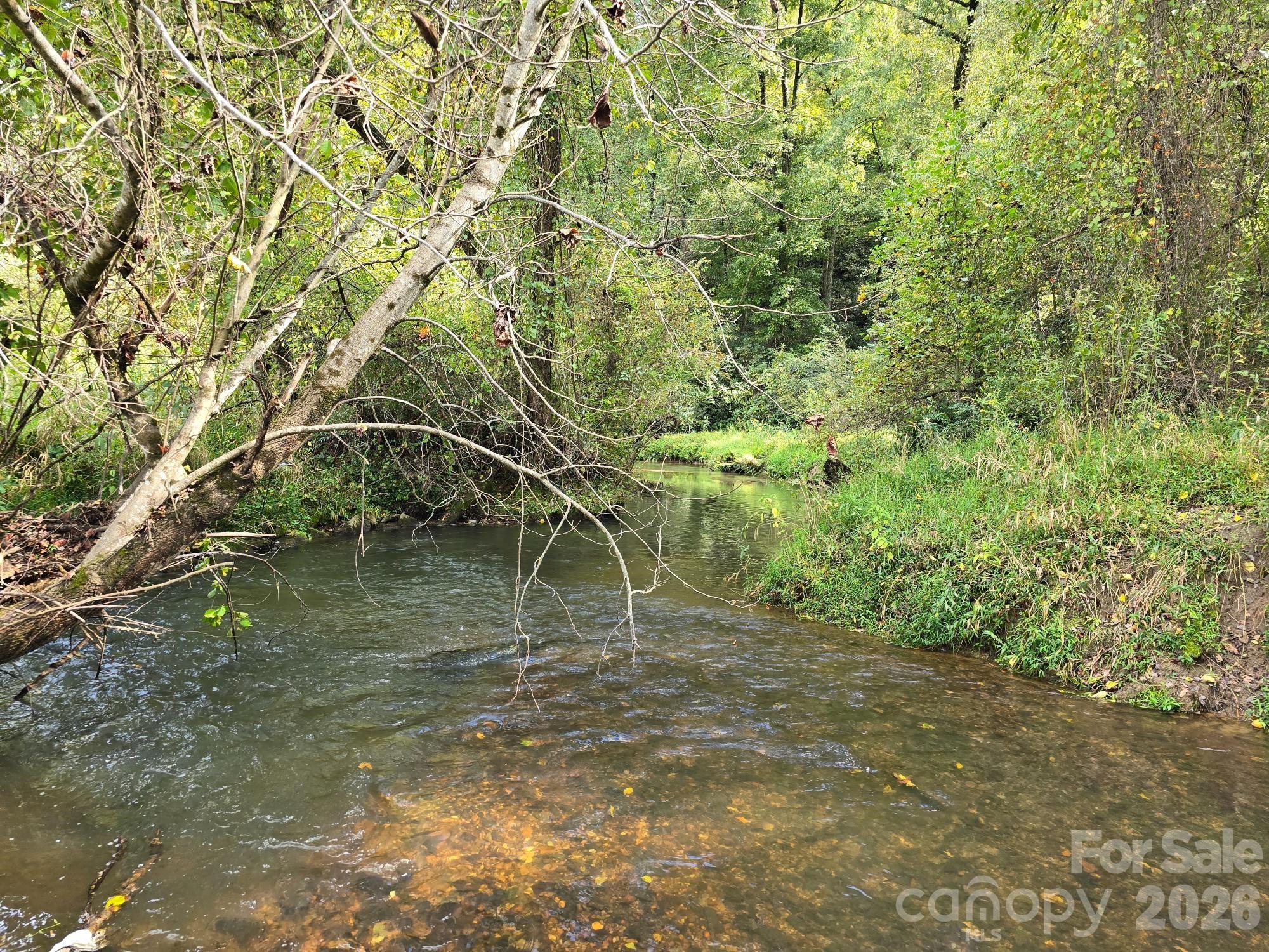 128 Cook Lane — Mills River