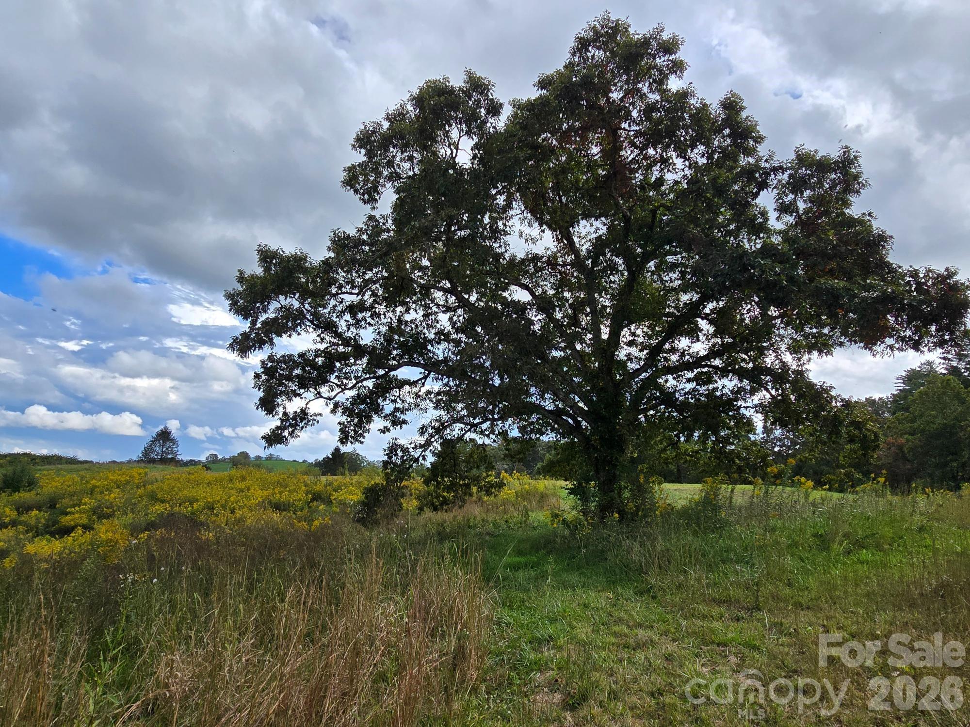 128 Cook Lane — Mills River