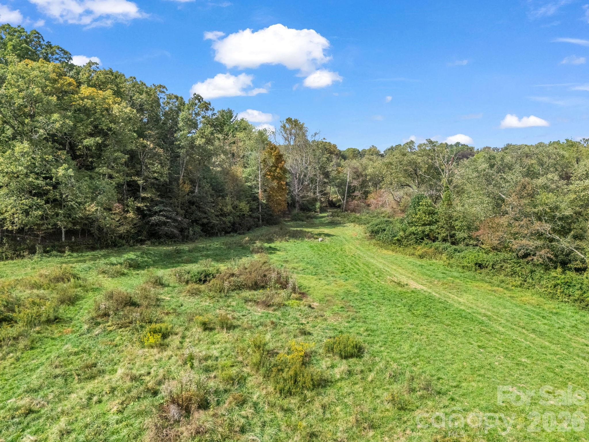 128 Cook Lane — Mills River