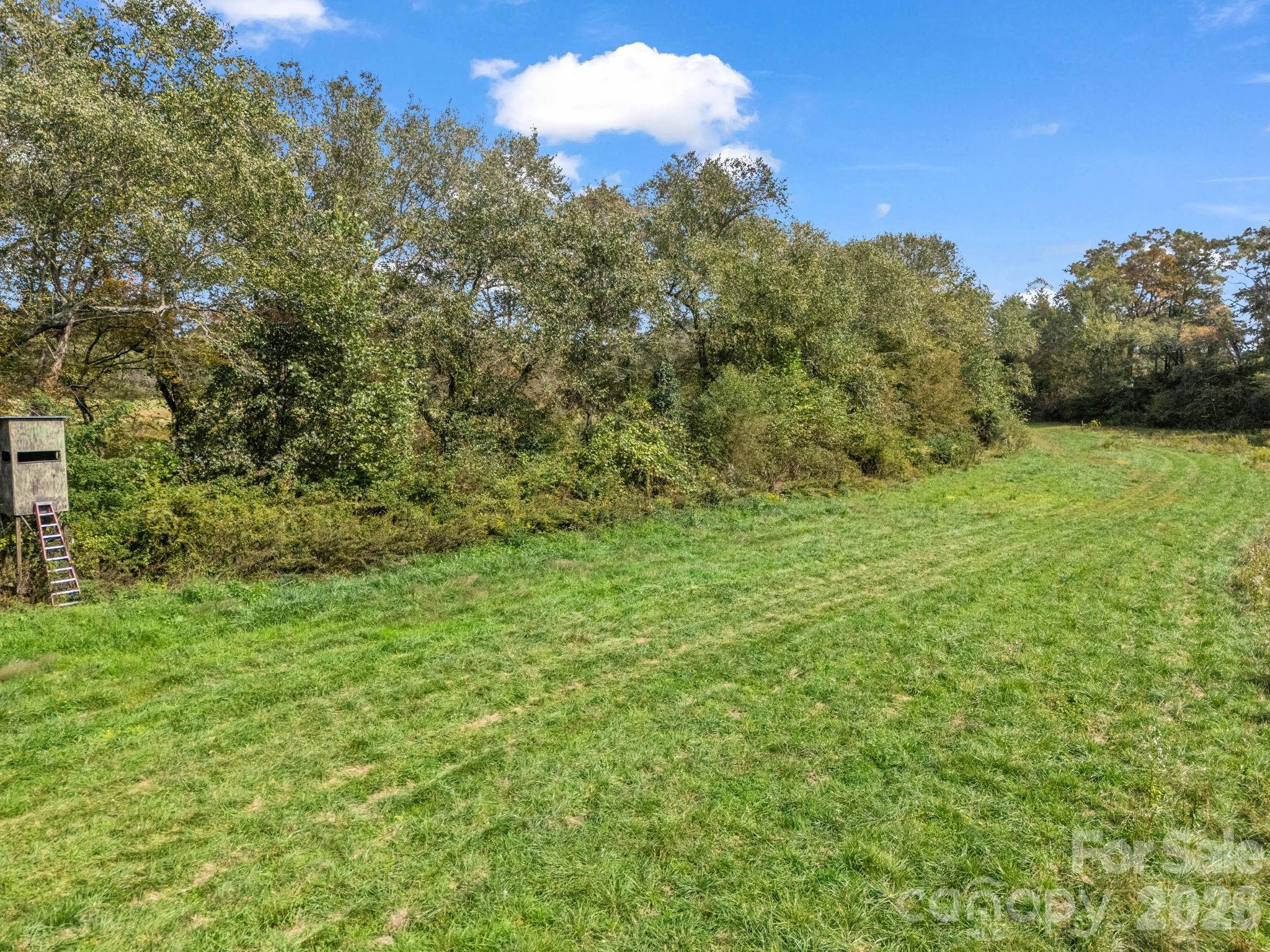 128 Cook Lane — Mills River