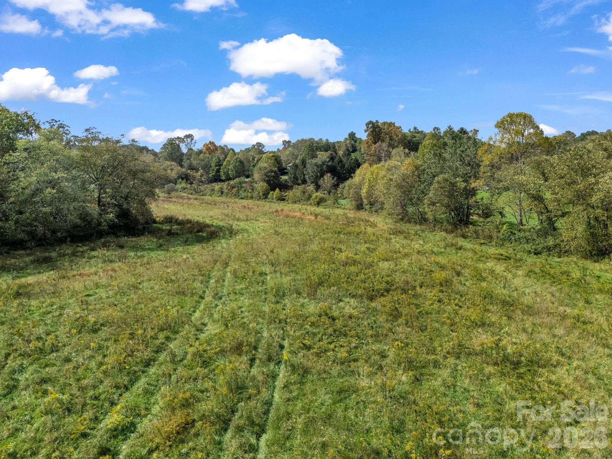 128 Cook Lane — Mills River