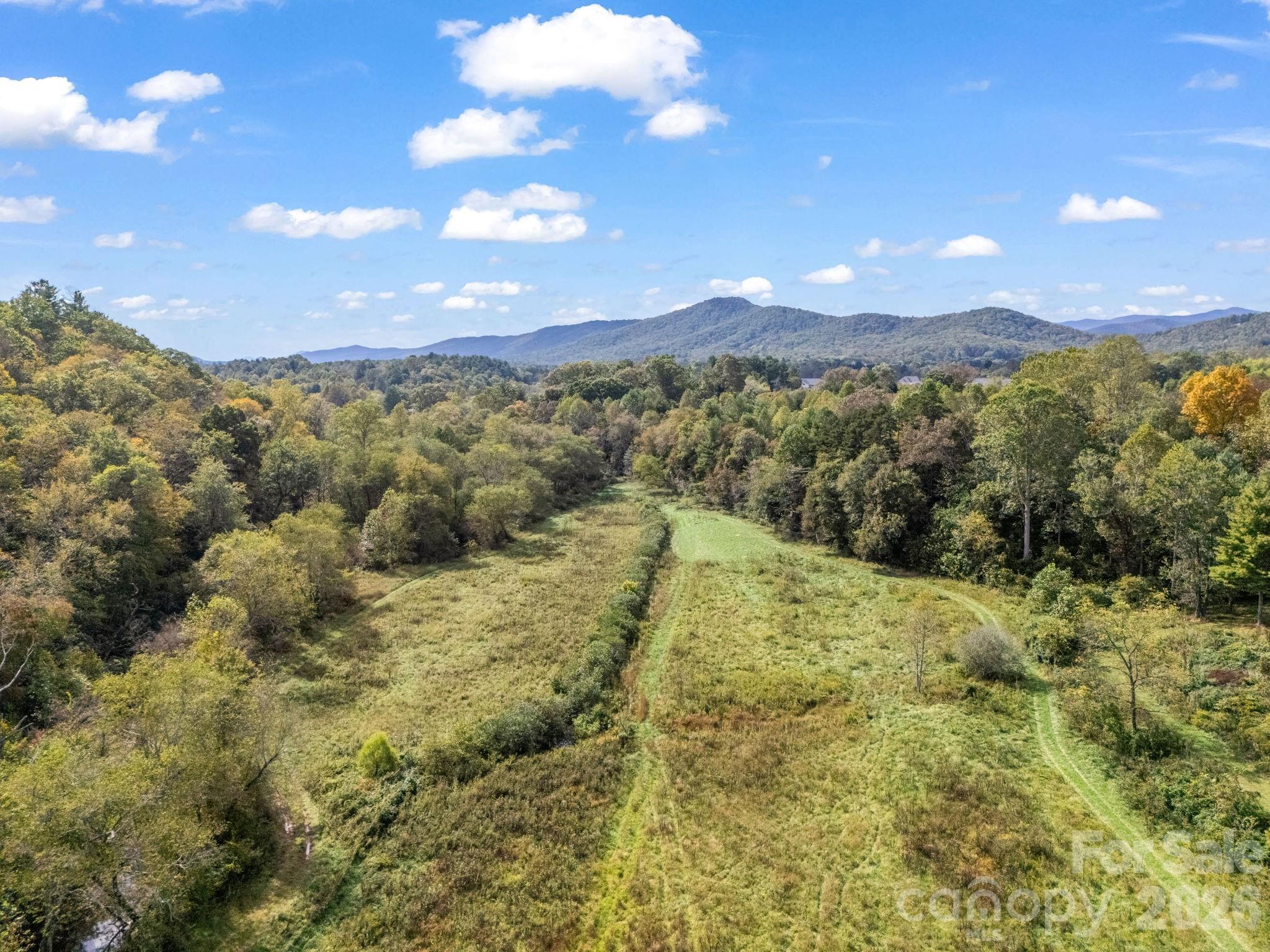 128 Cook Lane — Mills River
