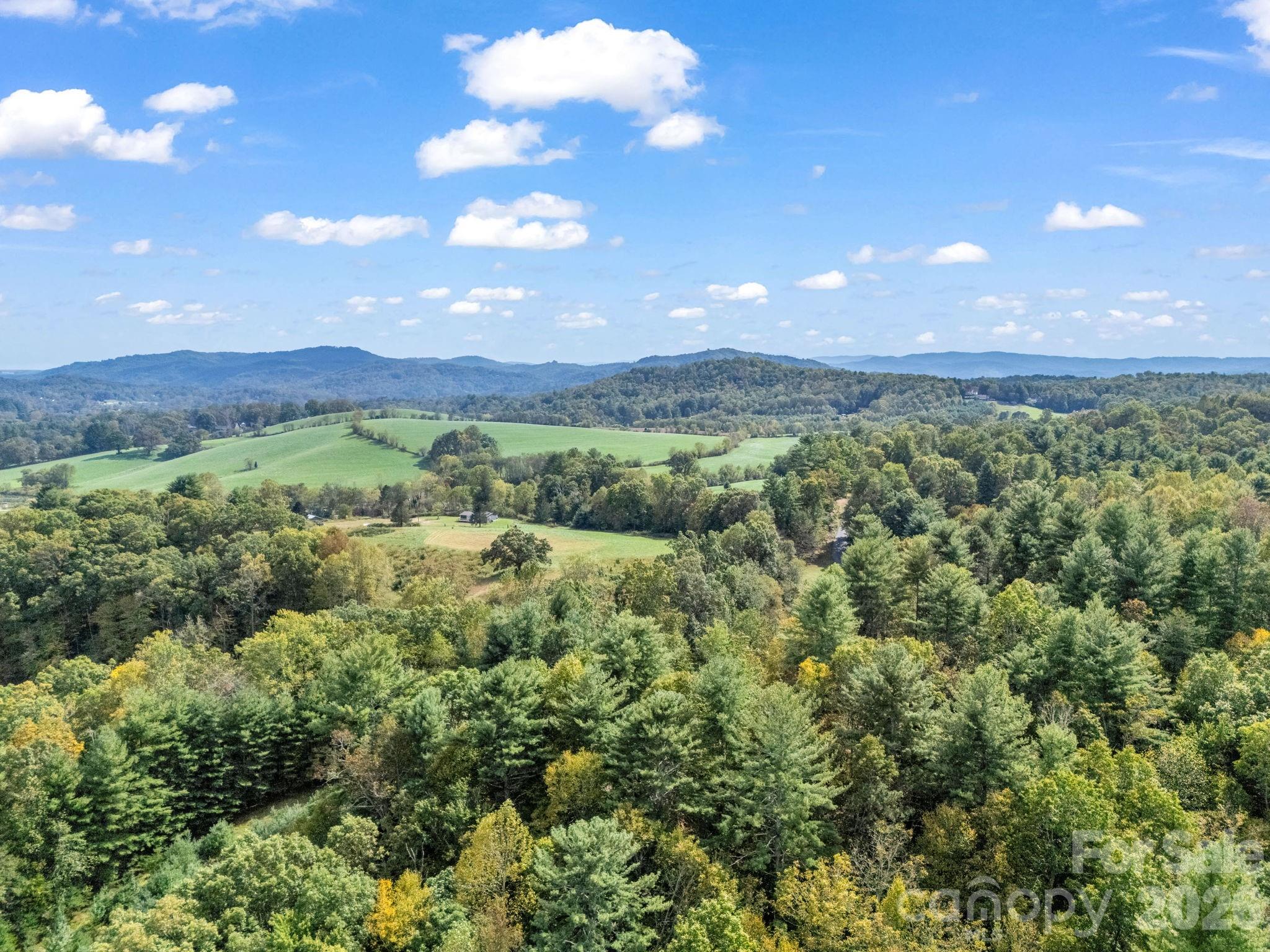 128 Cook Lane — Mills River
