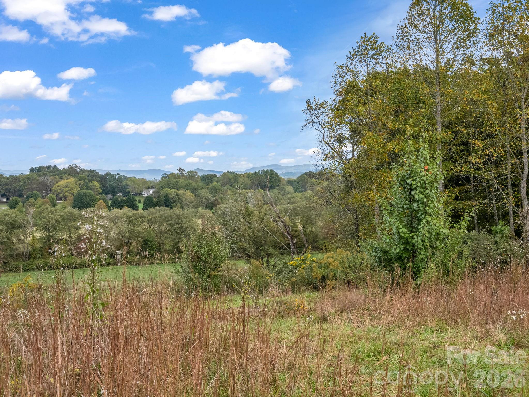 128 Cook Lane — Mills River