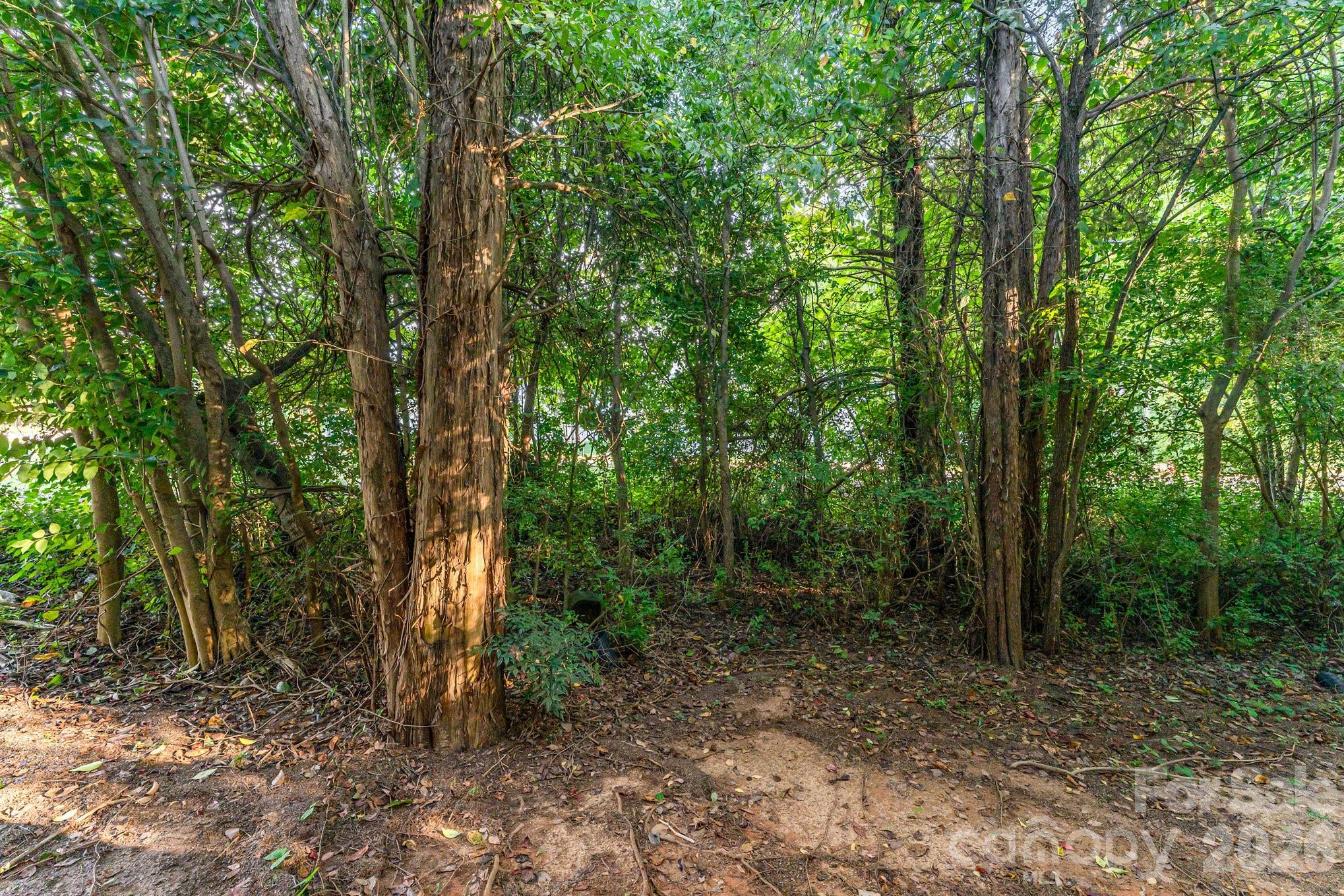 5356 Austin Knoll Court — Charlotte