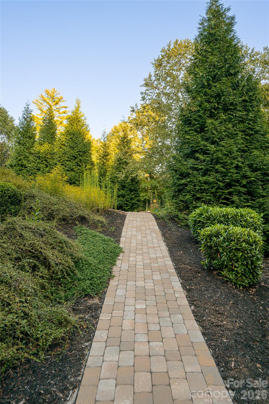 86 Brookline Drive — Asheville