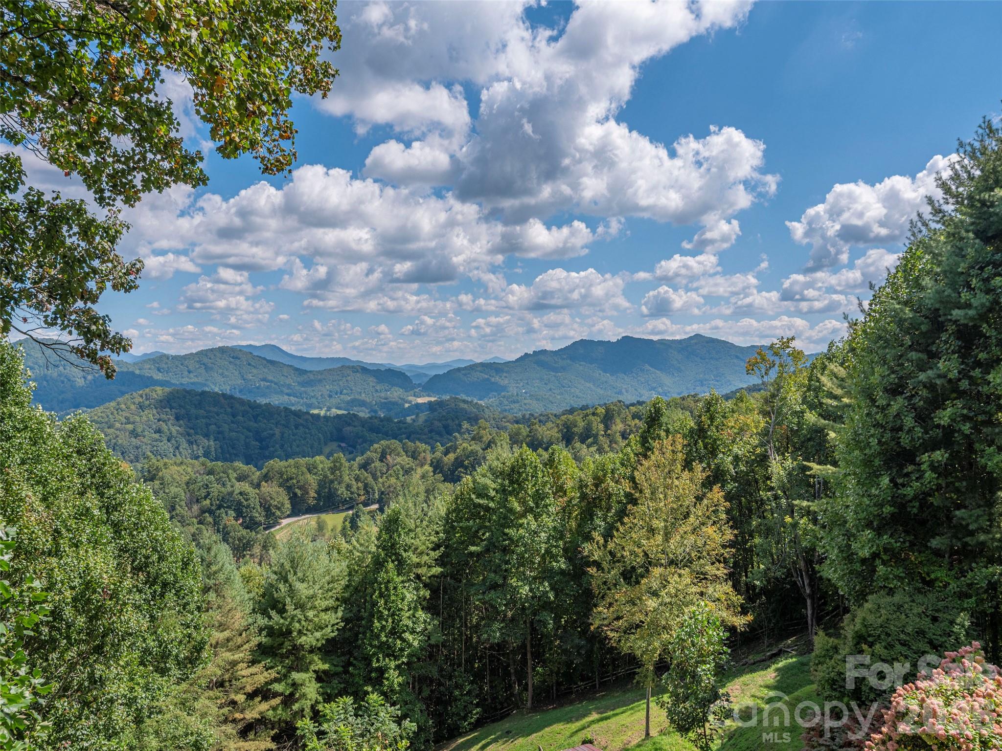 234 Historic Oak Trail — Waynesville