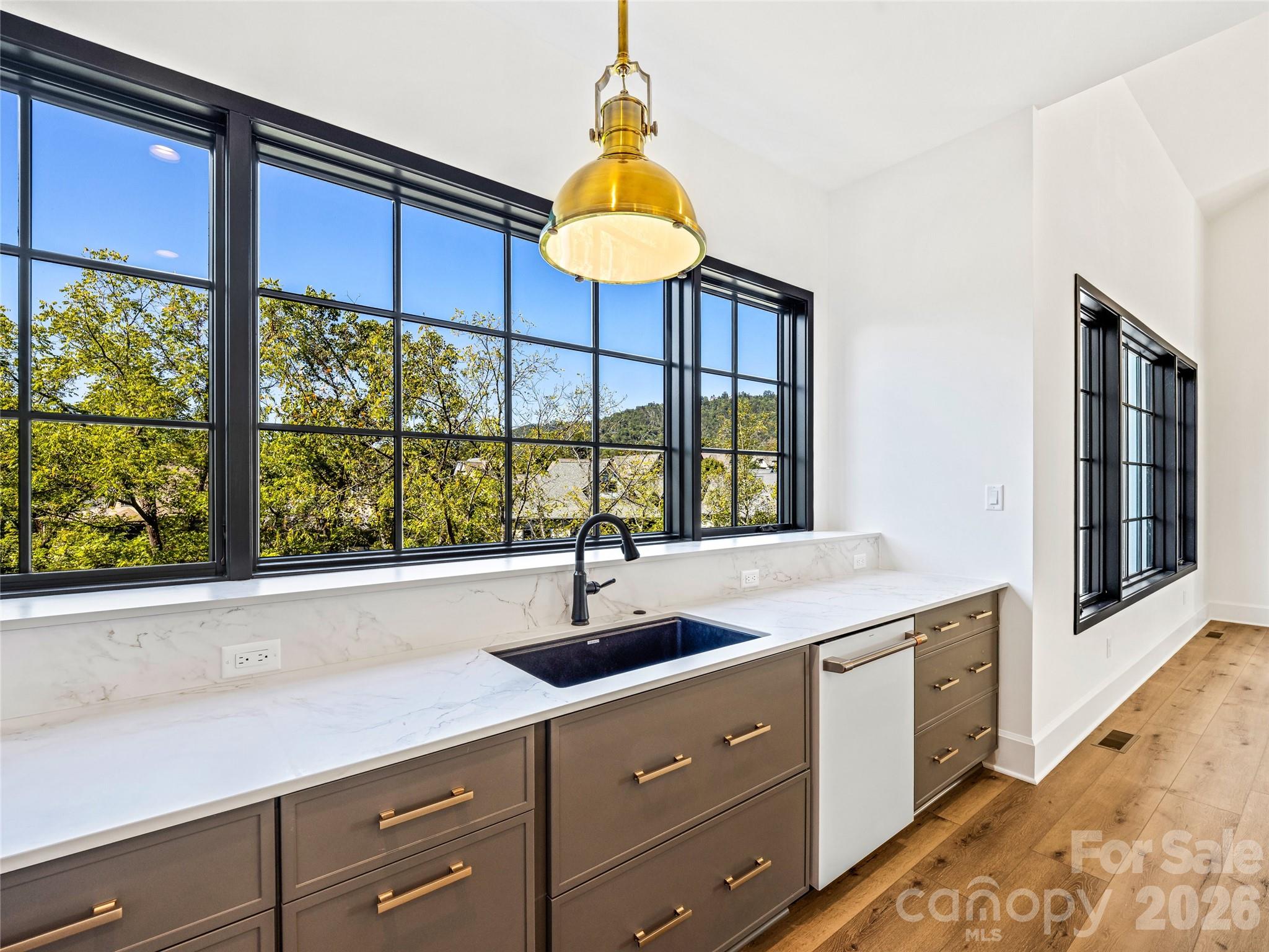 21 Evian Court — Asheville