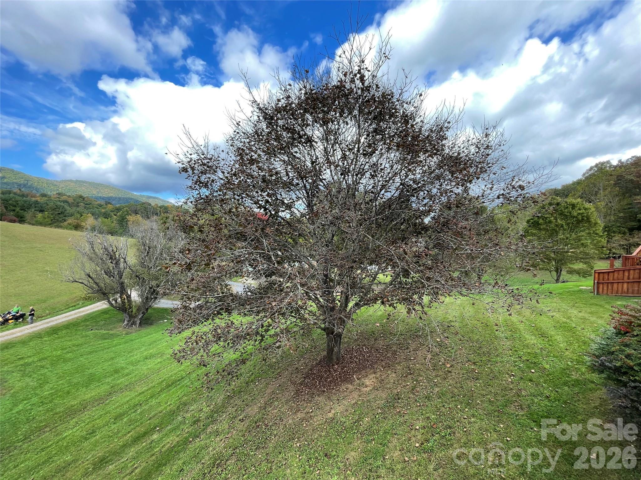 205 L And E Meadows Drive — Waynesville