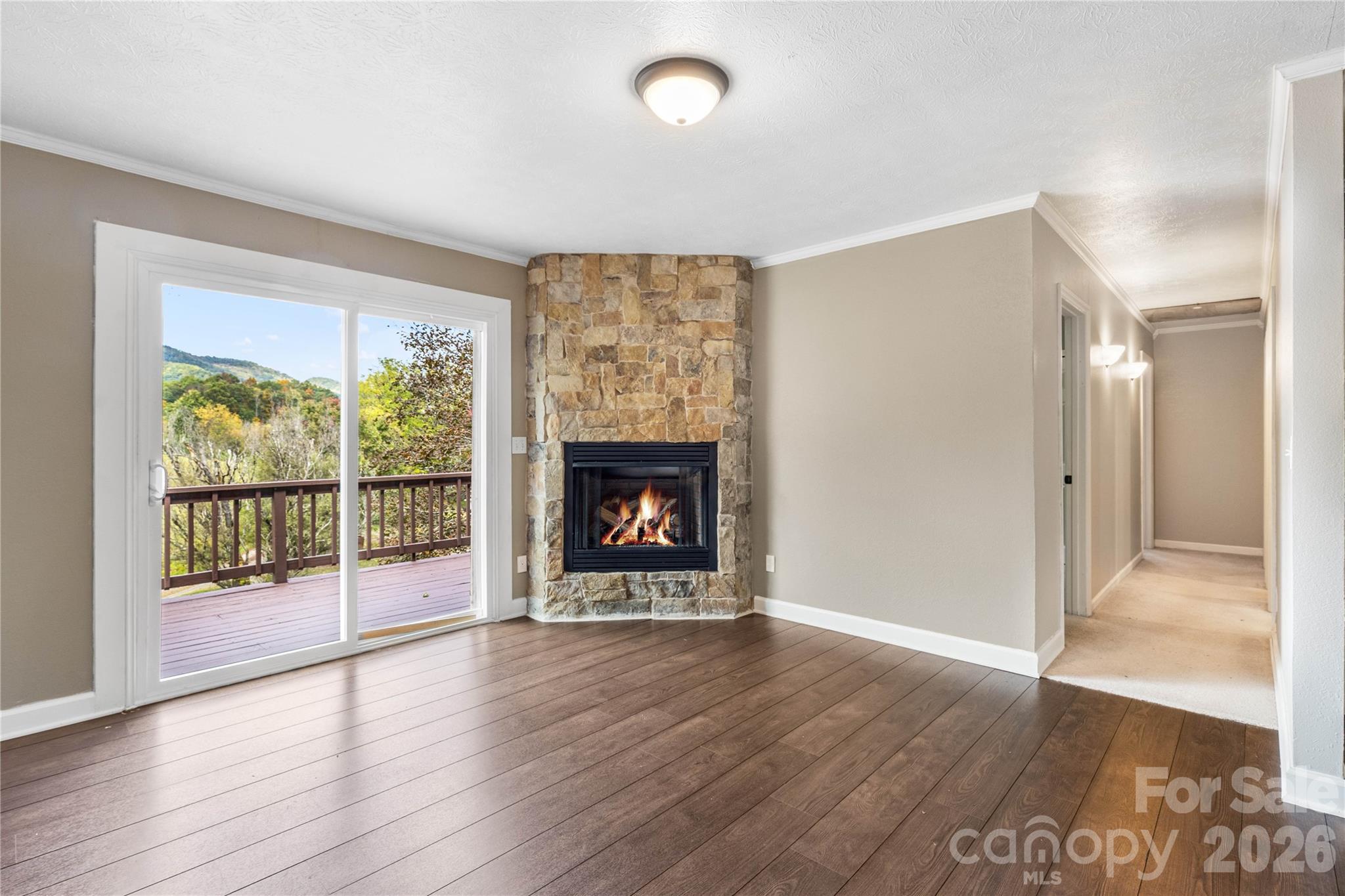 205 L And E Meadows Drive — Waynesville