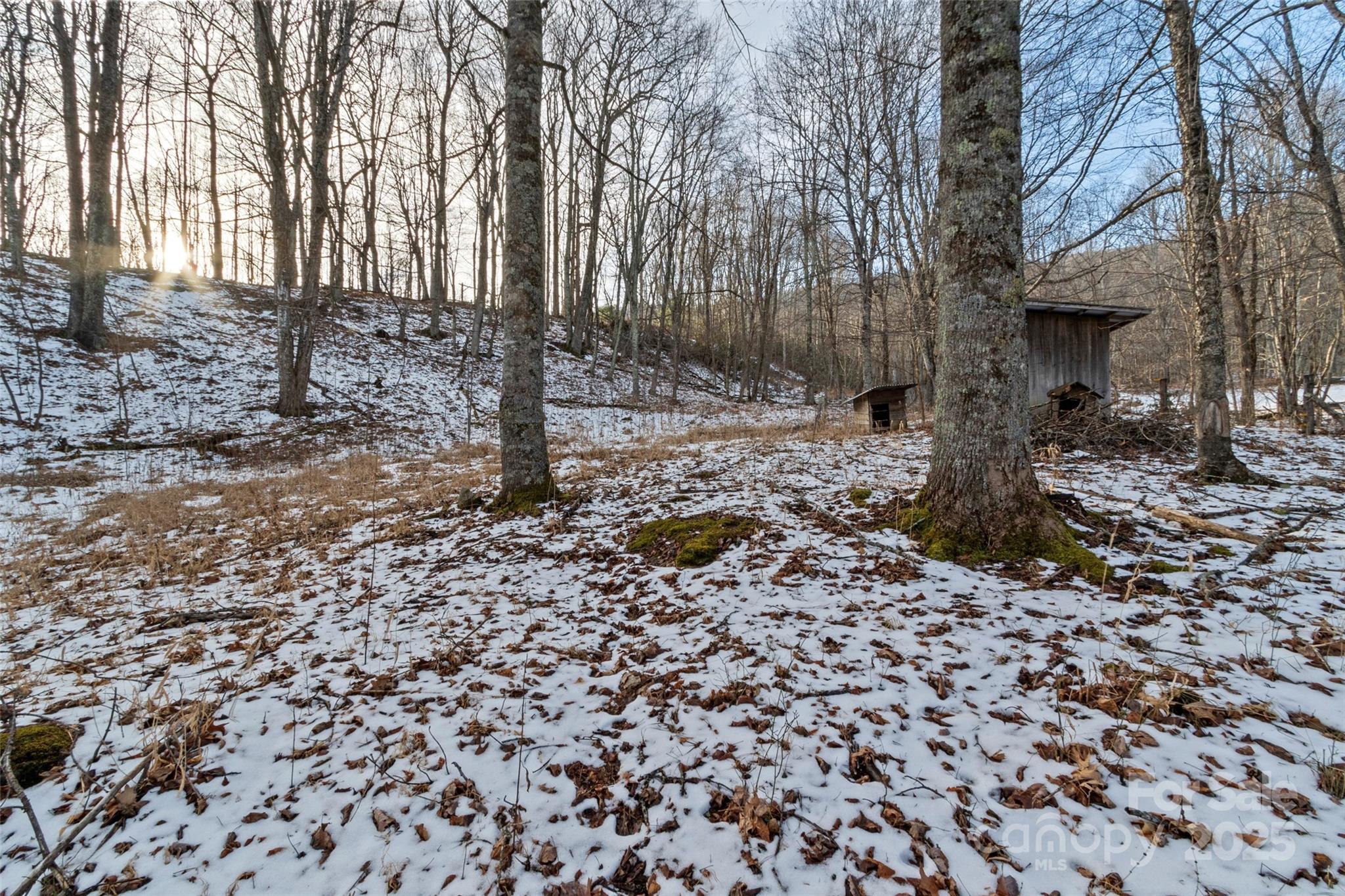 1571 Roaring Fork Road — Burnsville