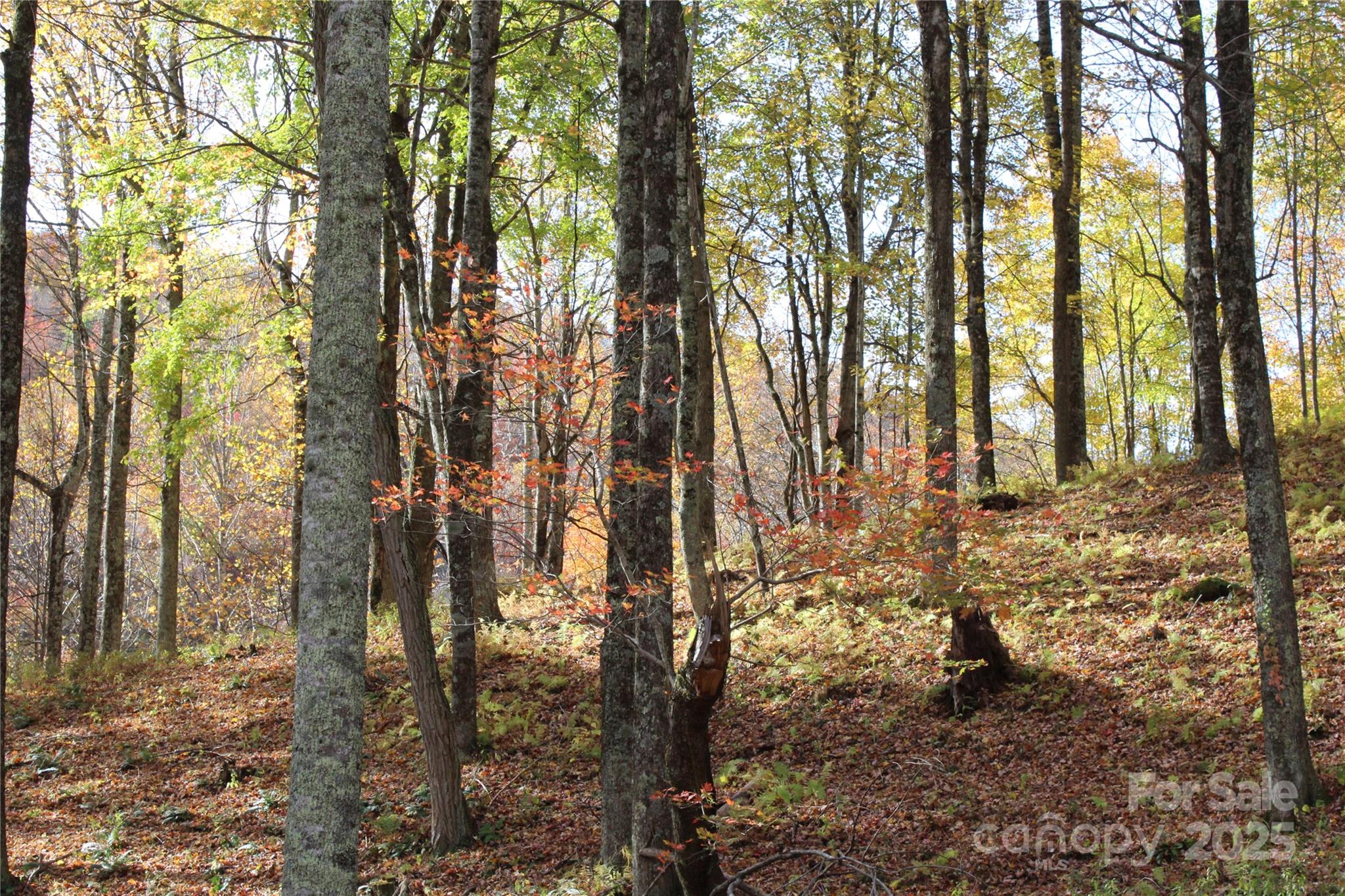 1571 Roaring Fork Road — Burnsville