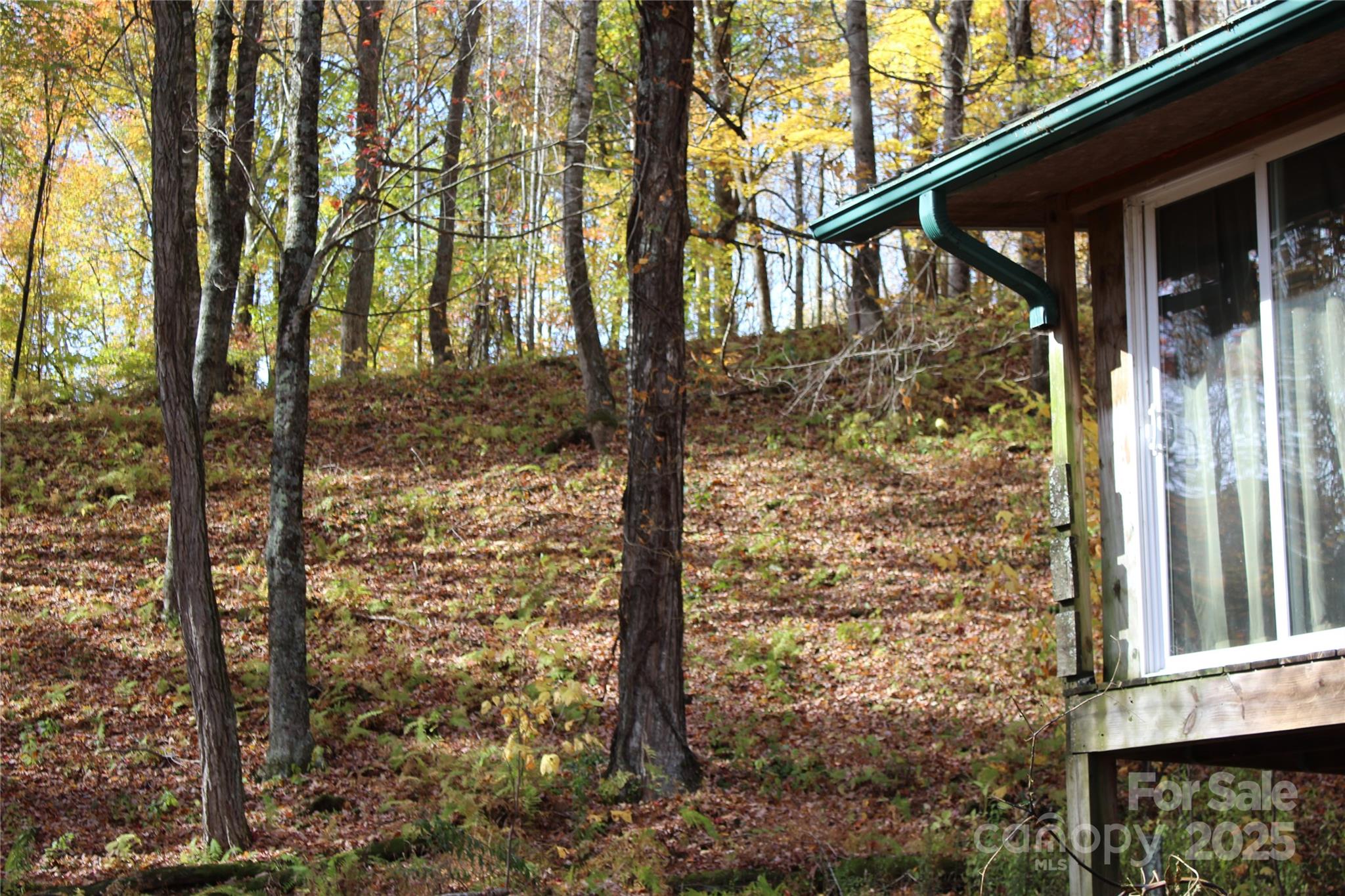1571 Roaring Fork Road — Burnsville